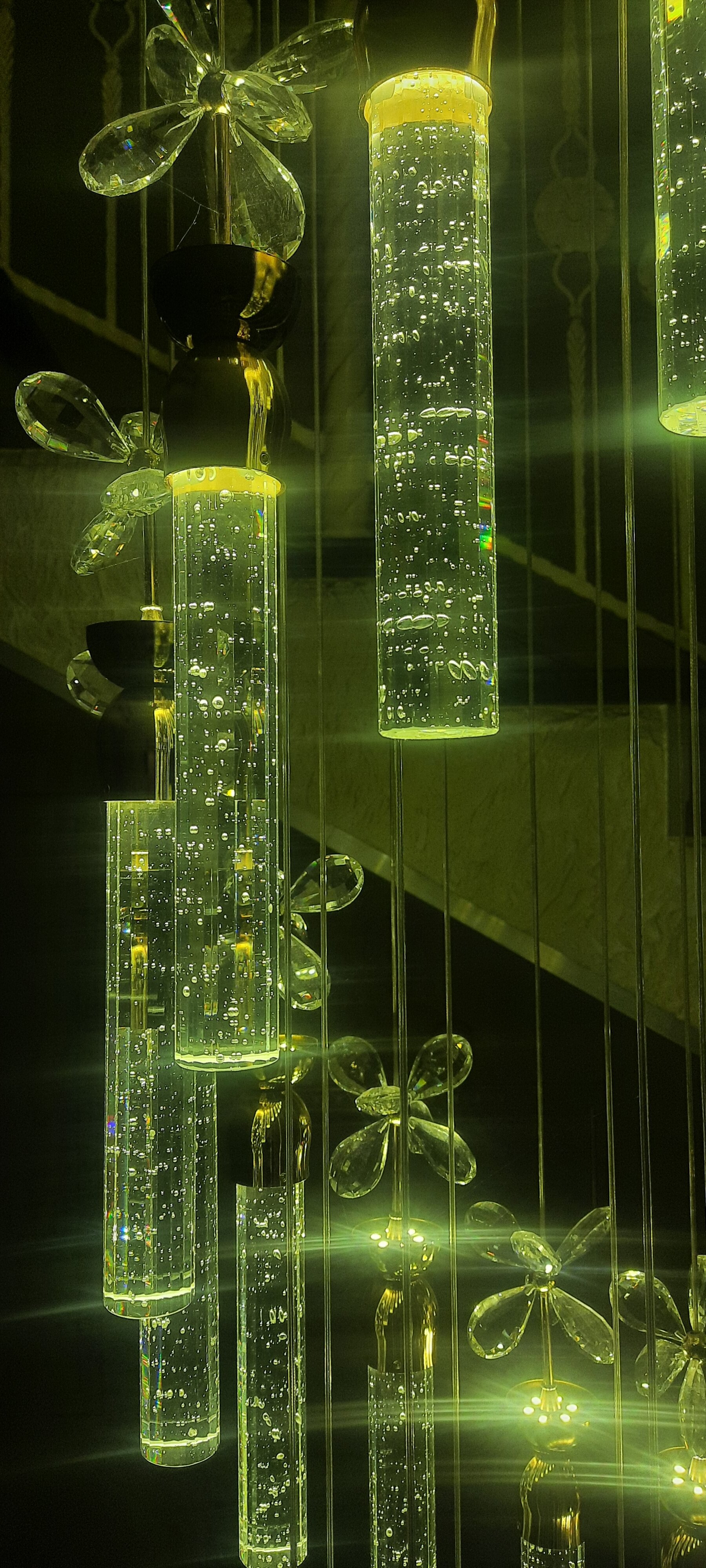 Фото Березка