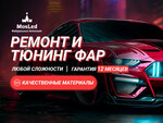 MosLed (Moscow, Mozhayskoye Highway, 170), auto light