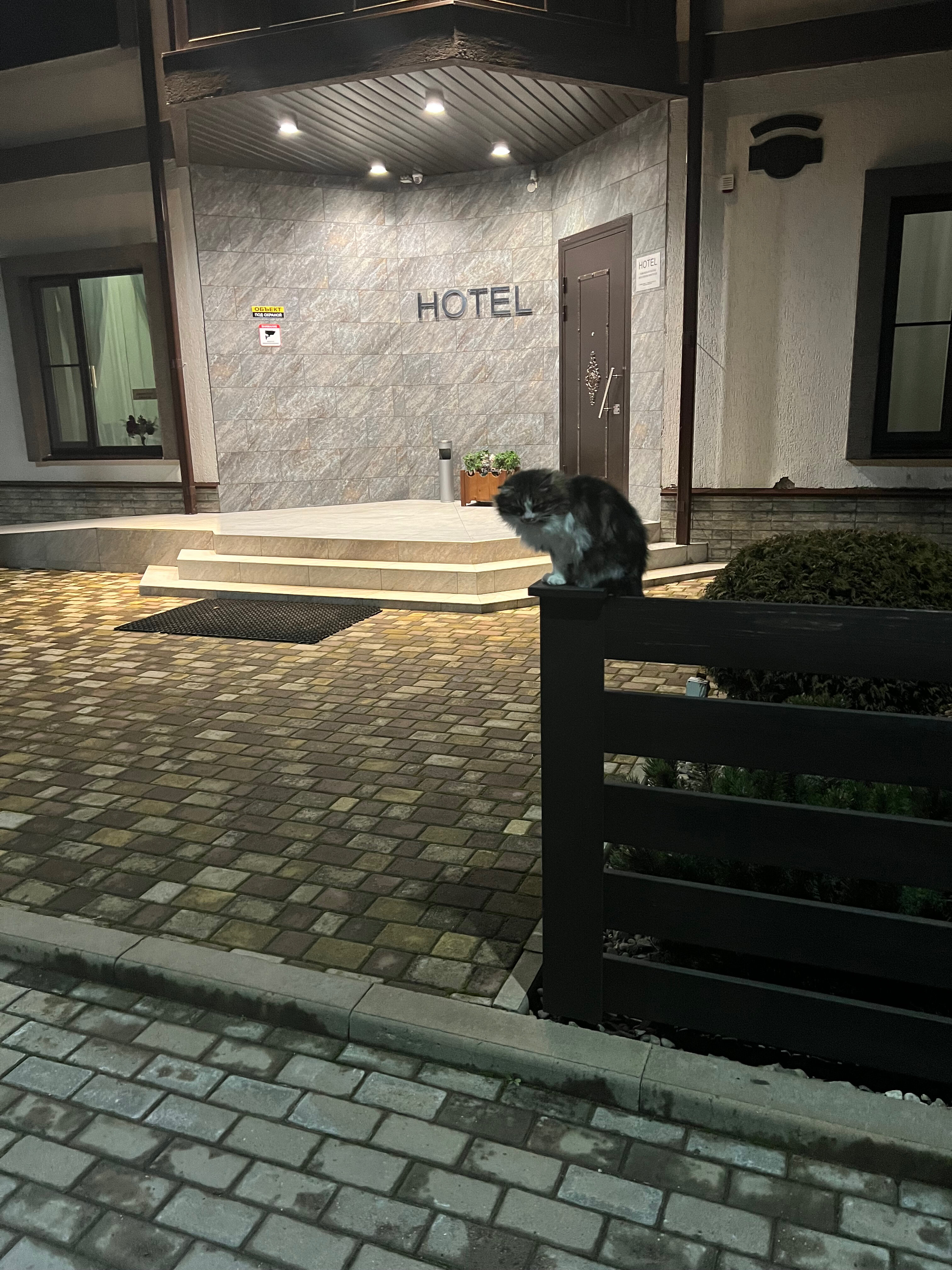 Фото Вертикаль