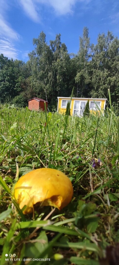 Фото Солнечный дом