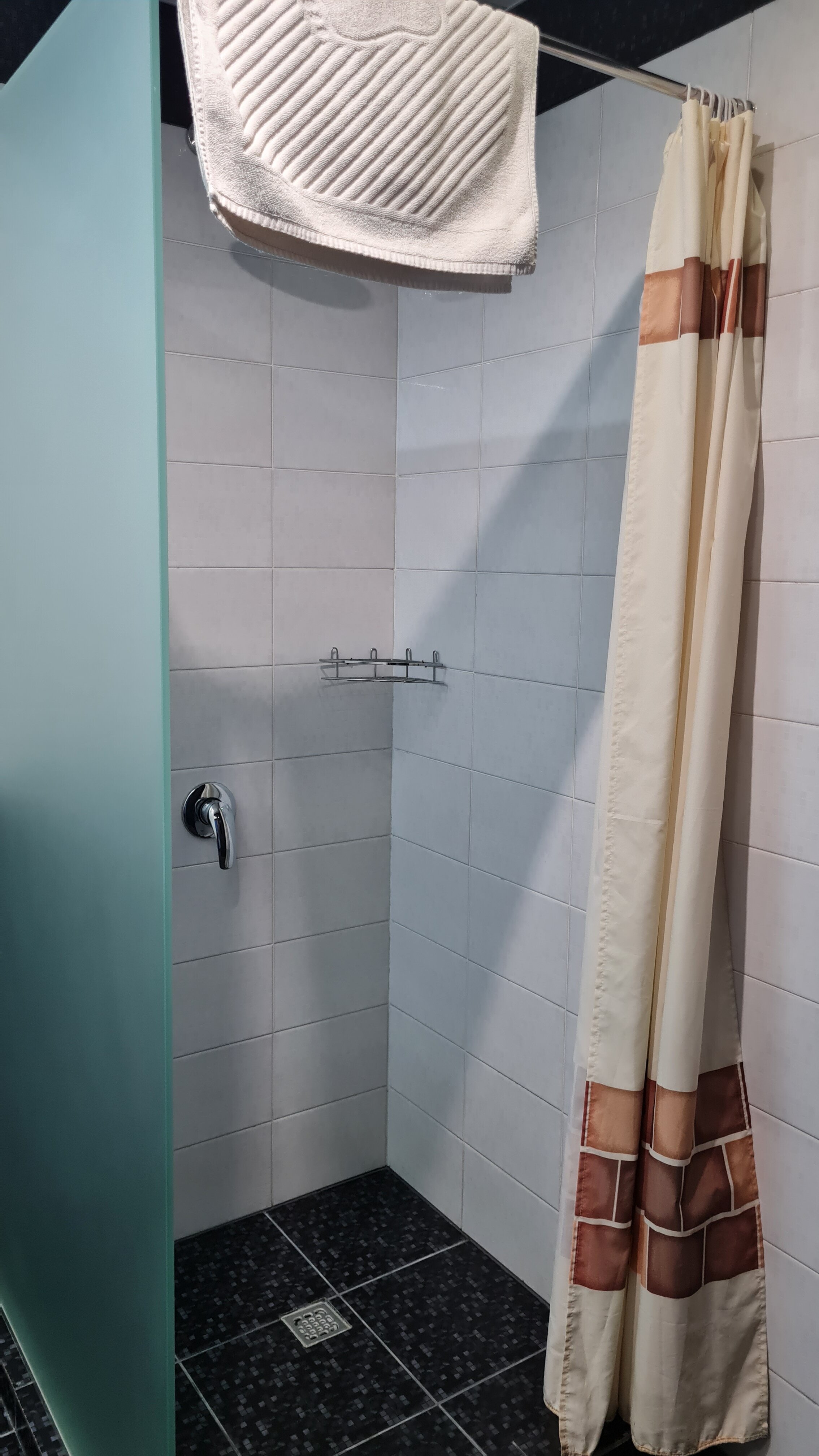 Фото Крокус