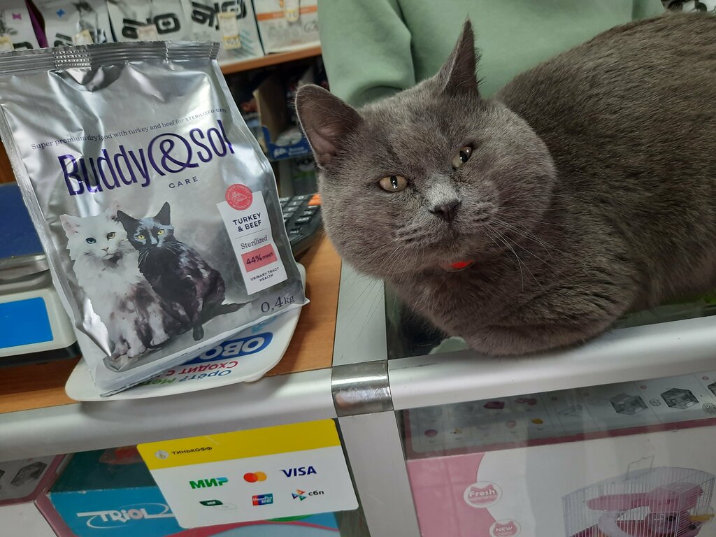 Pet shop Umka, Golicyno, photo