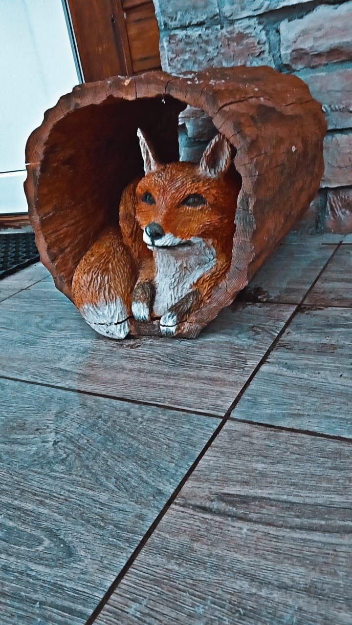 Фото Лесная поляна