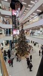 Galleria Tbilisi (Tbilisi, Shota Rustavelis gamziri, 2/4), shopping mall