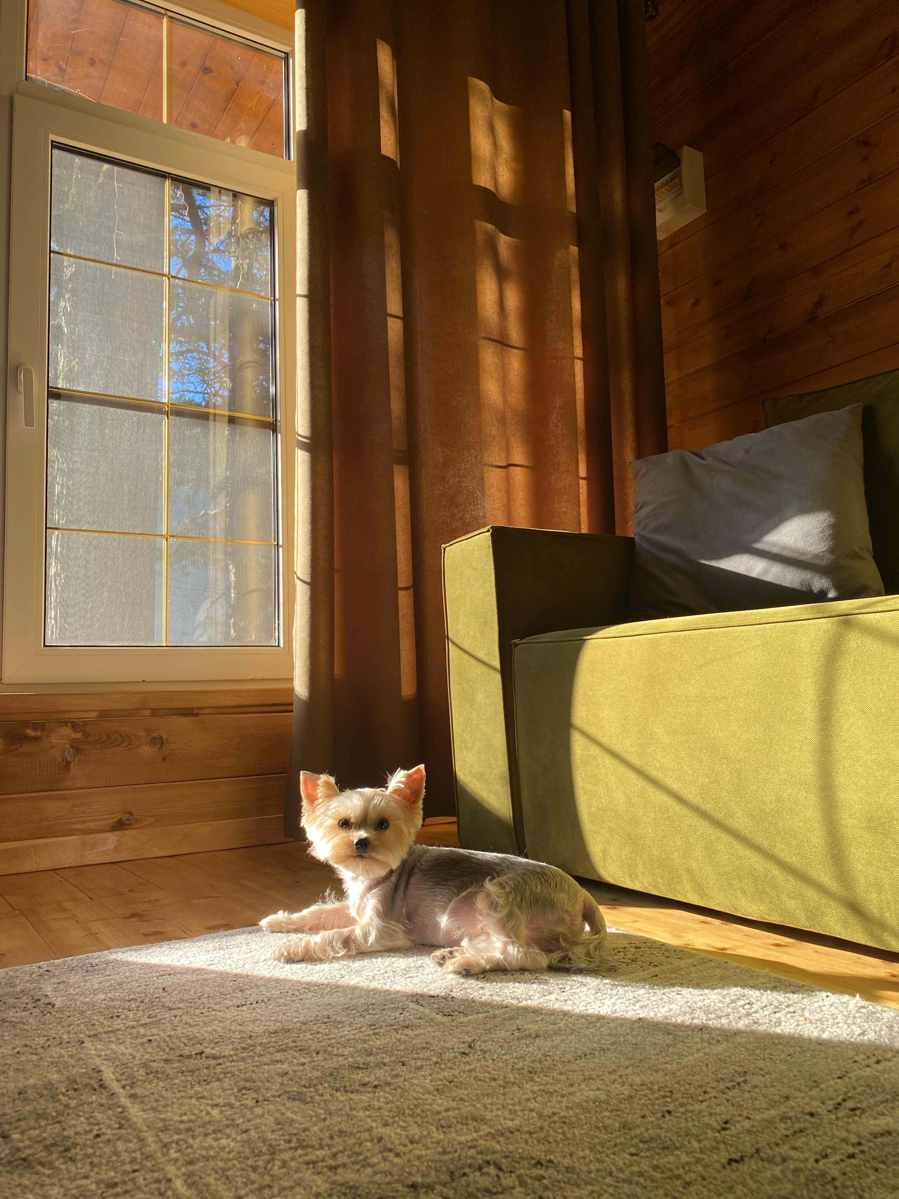 Фото Архыз и точка