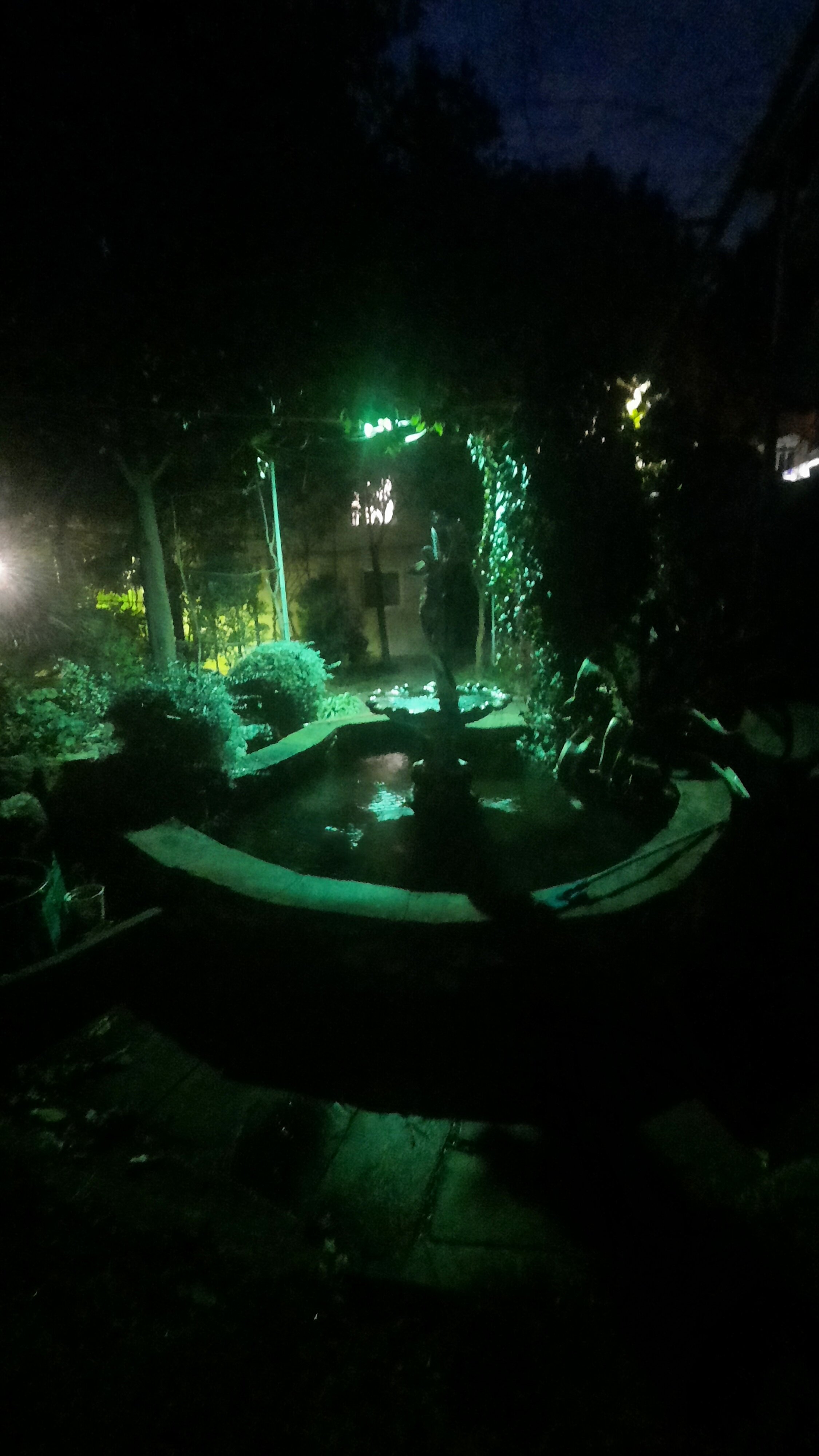 Фото Солоники