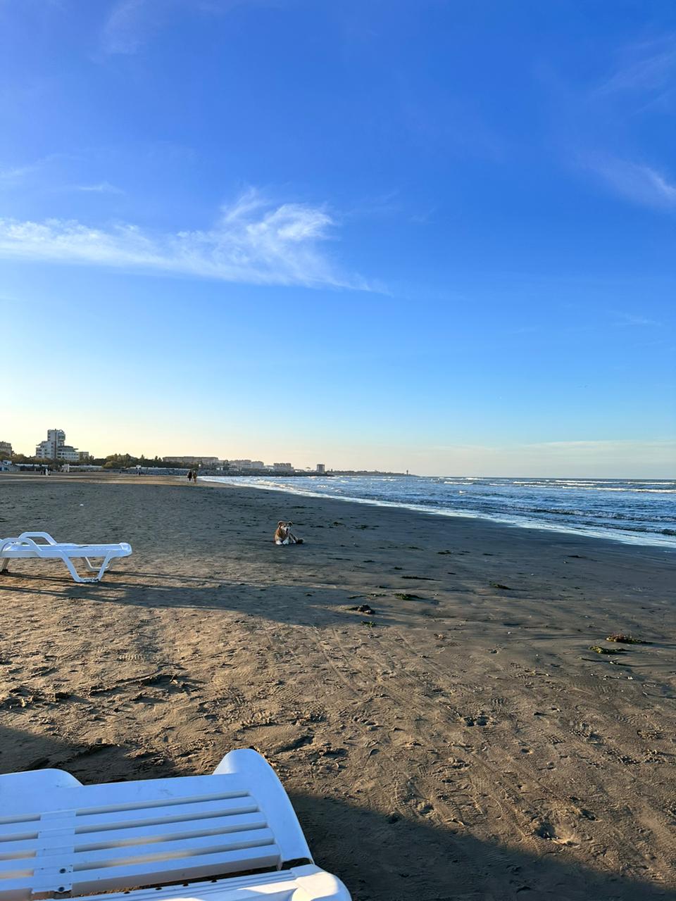 Фото Энергетик