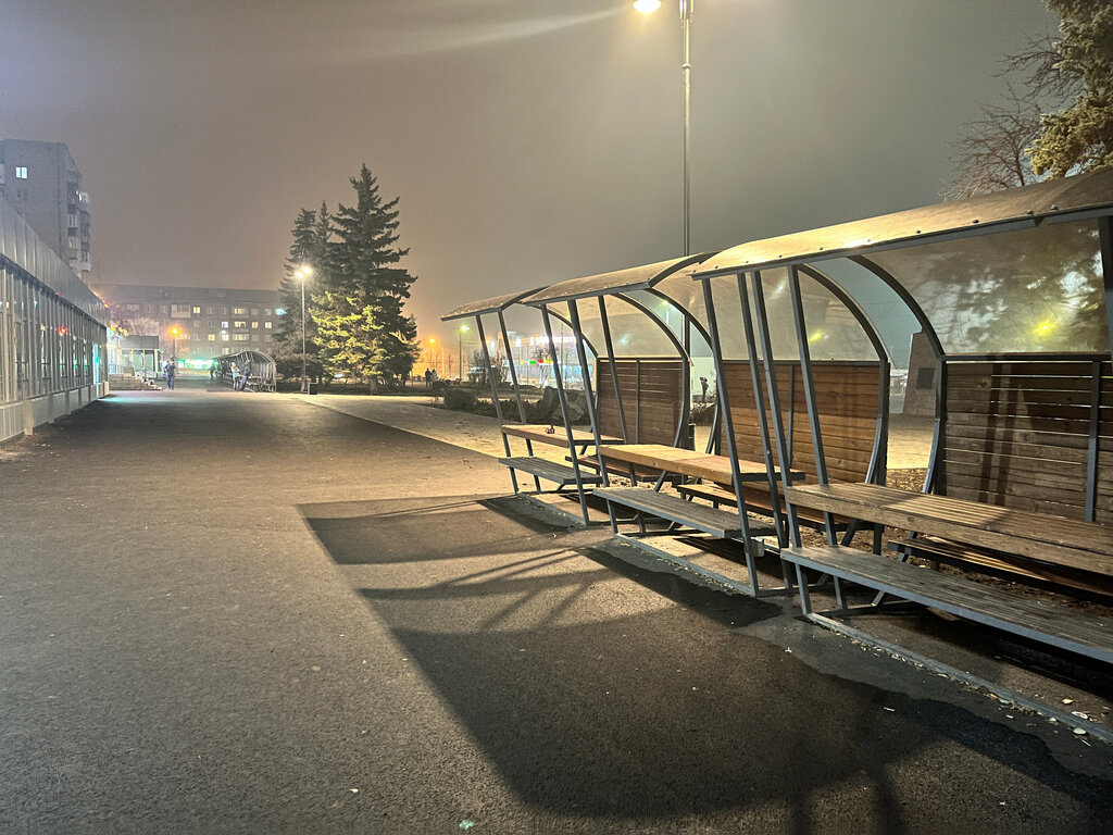 Gıda pazarı Farmers' market, Magnitogorsk, foto