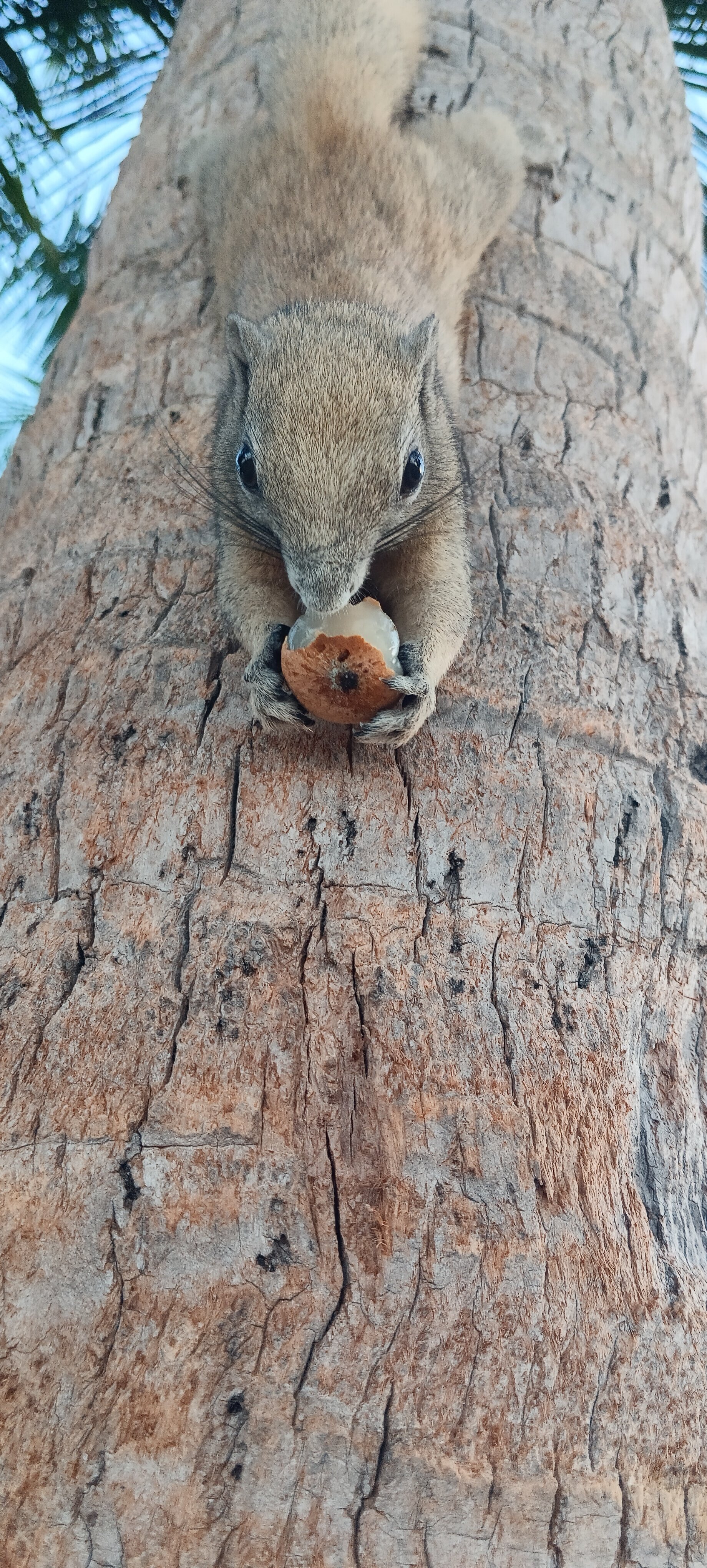 Фото Zing Resort and SPA