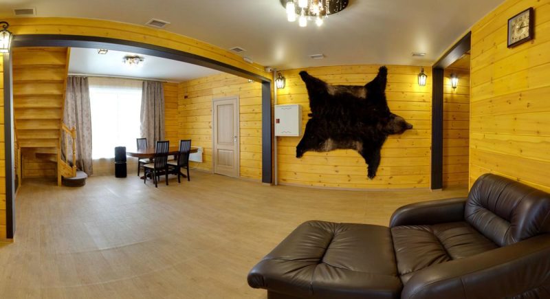 Фото Медведица