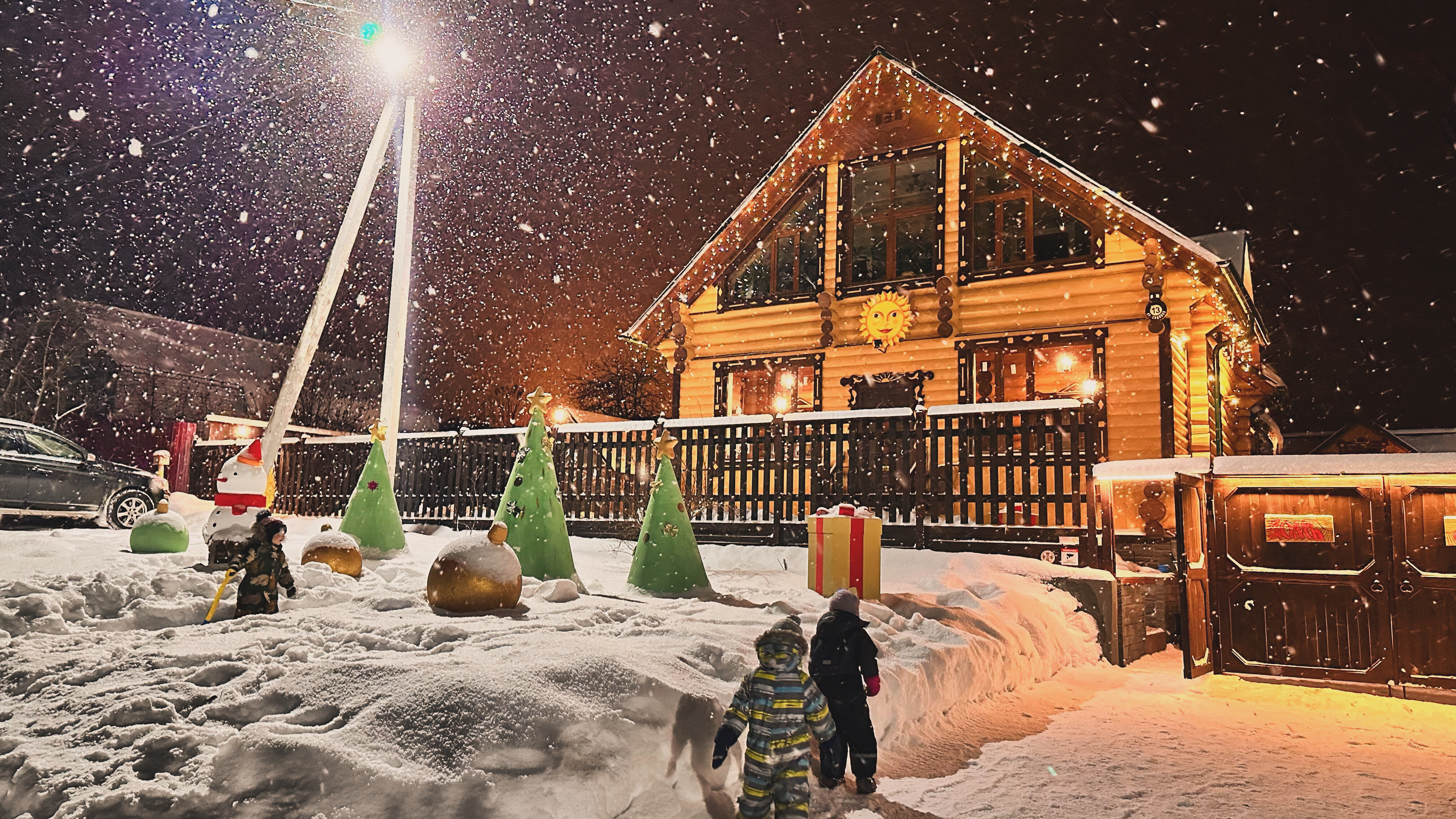 Фото Дом Шишки