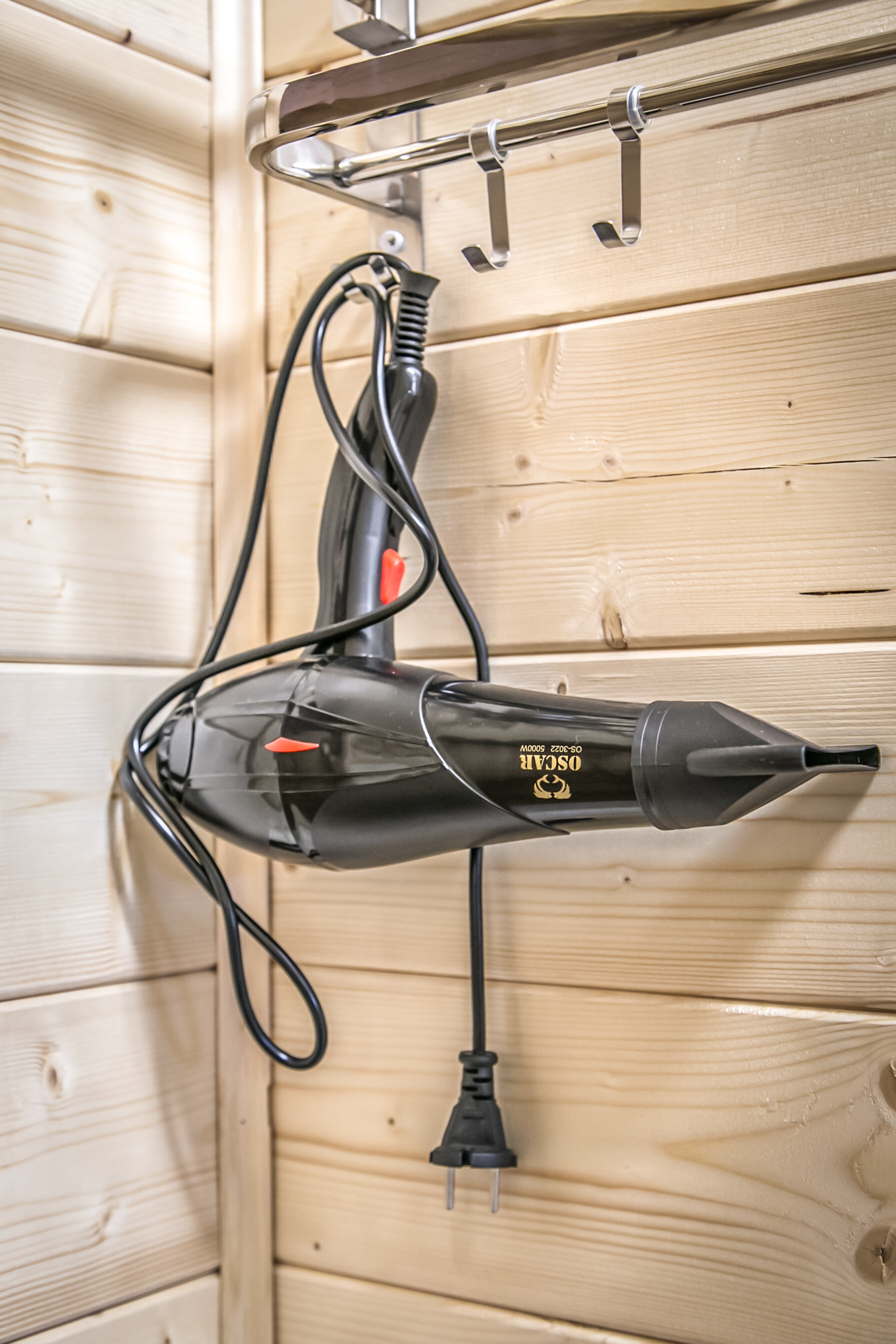 Фото Дикая Лошадь