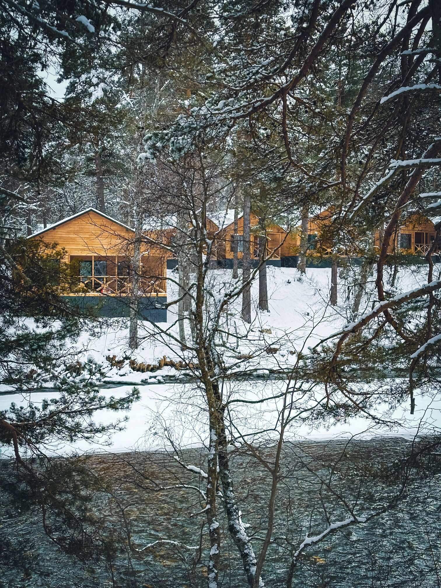 Фото Шале Хвоя