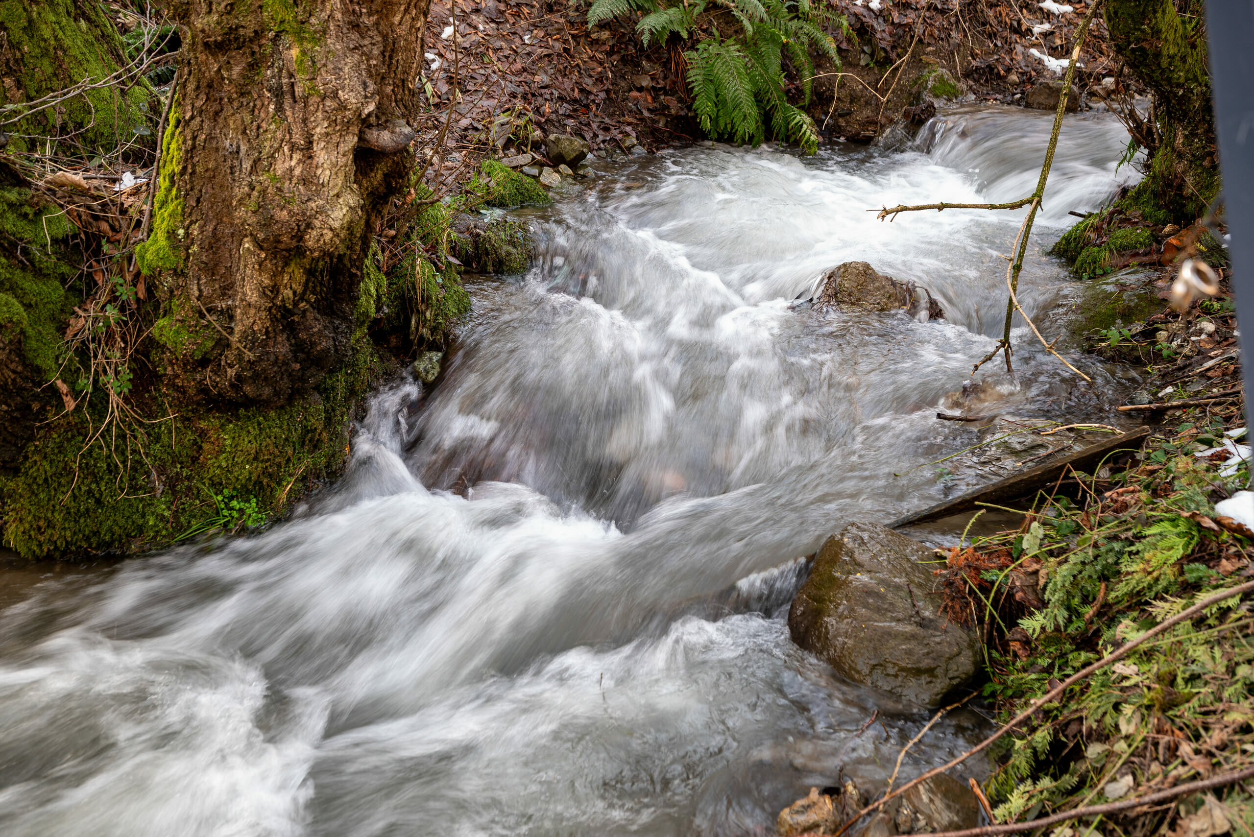 Фото Счастье в горах