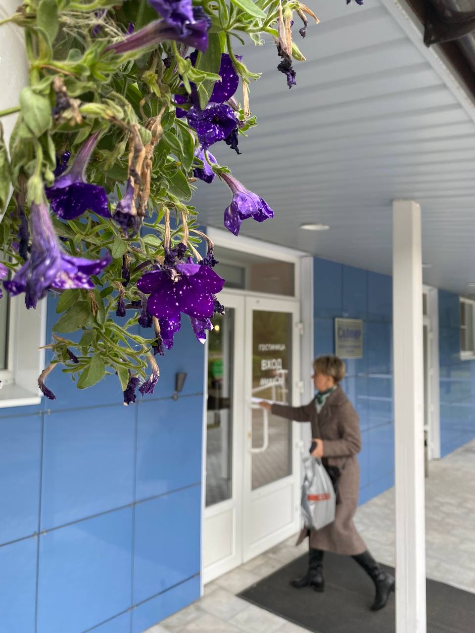 Фото Сапфир