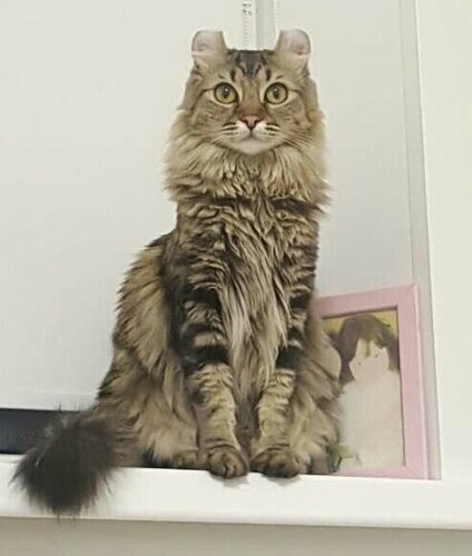 Әйелдердің аяқтары мен аяқтарының порнофотосуреттері