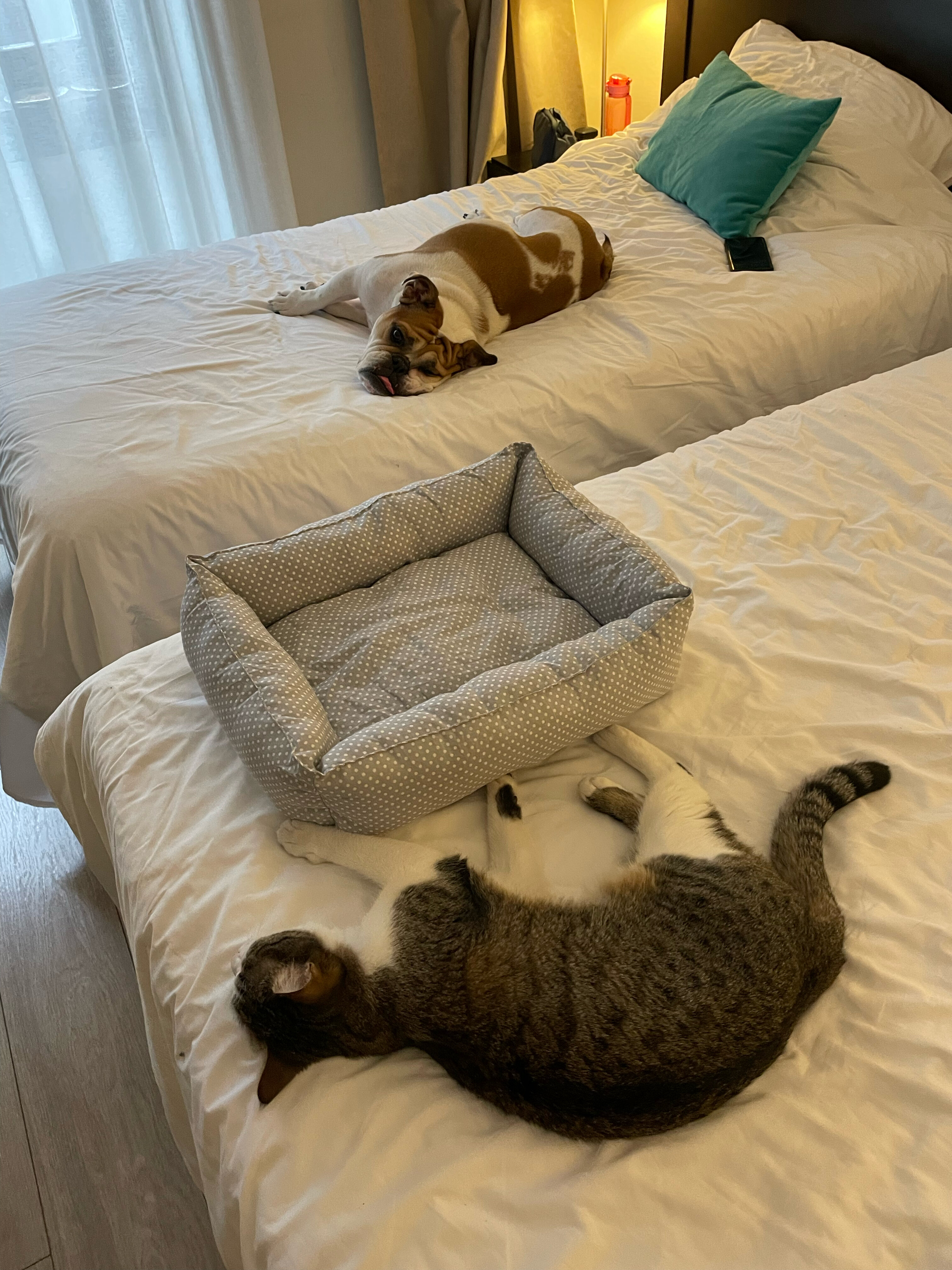 Фото Mercure Belgrade Excelsior