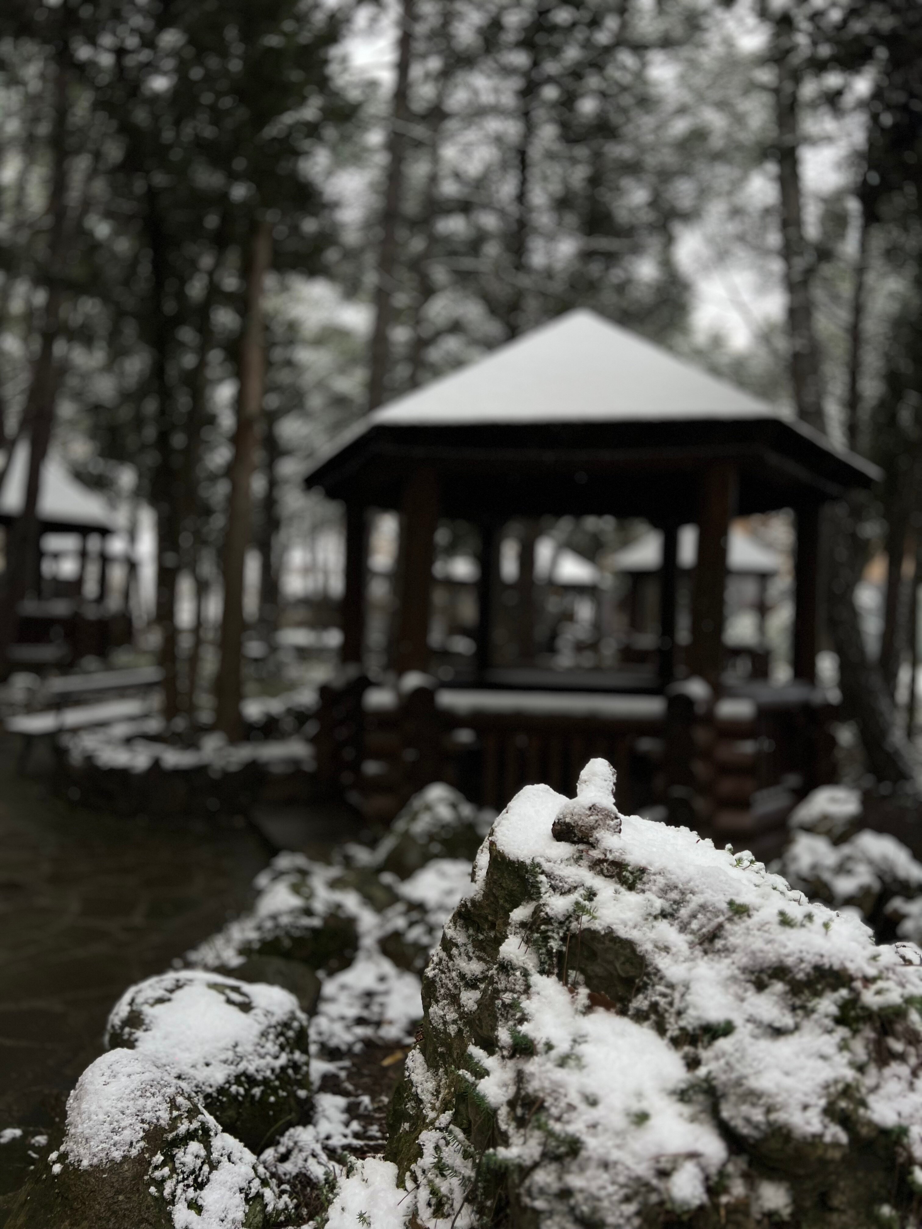 Фото Затерянный мир