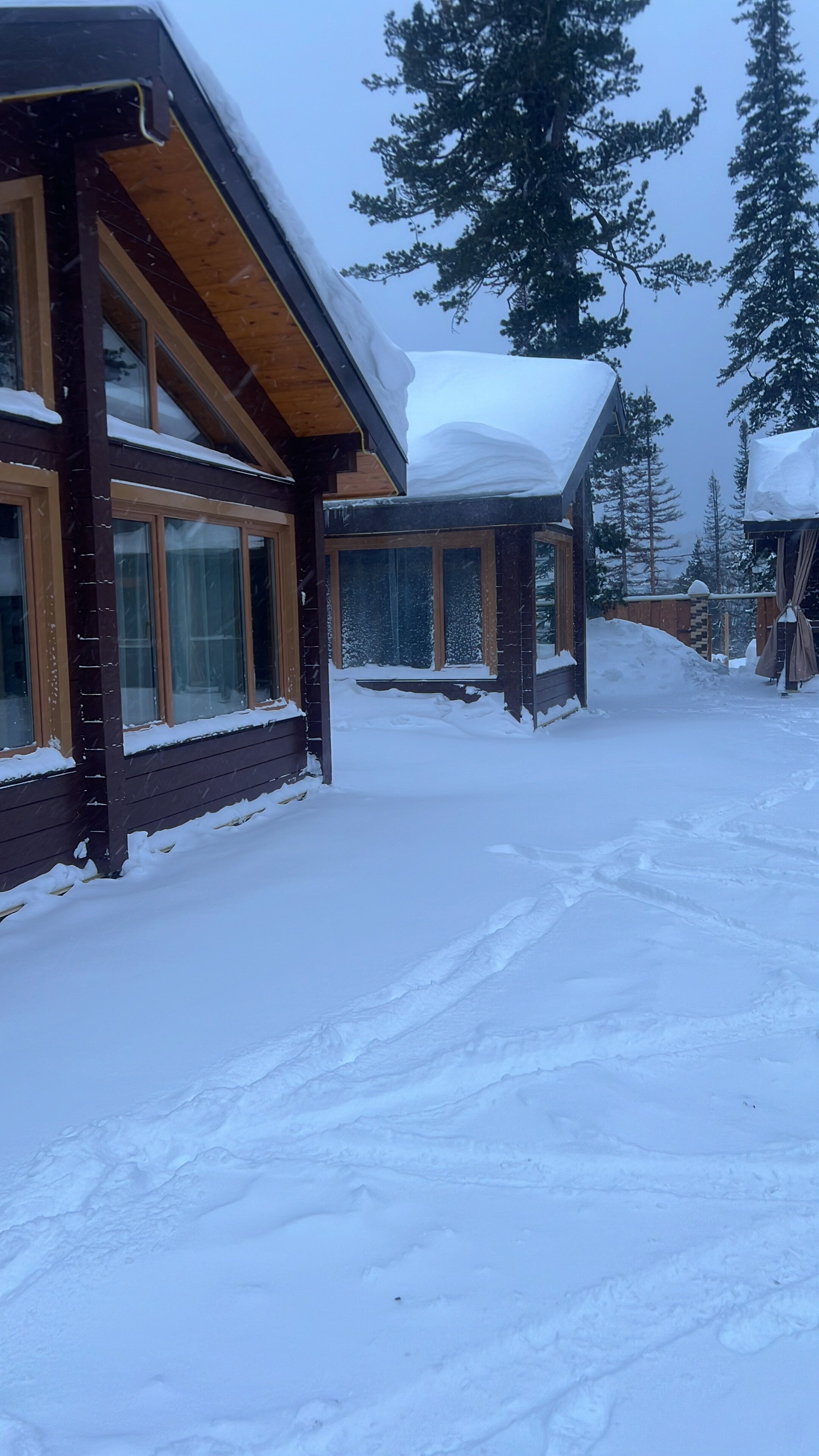 Фото Grizzly house