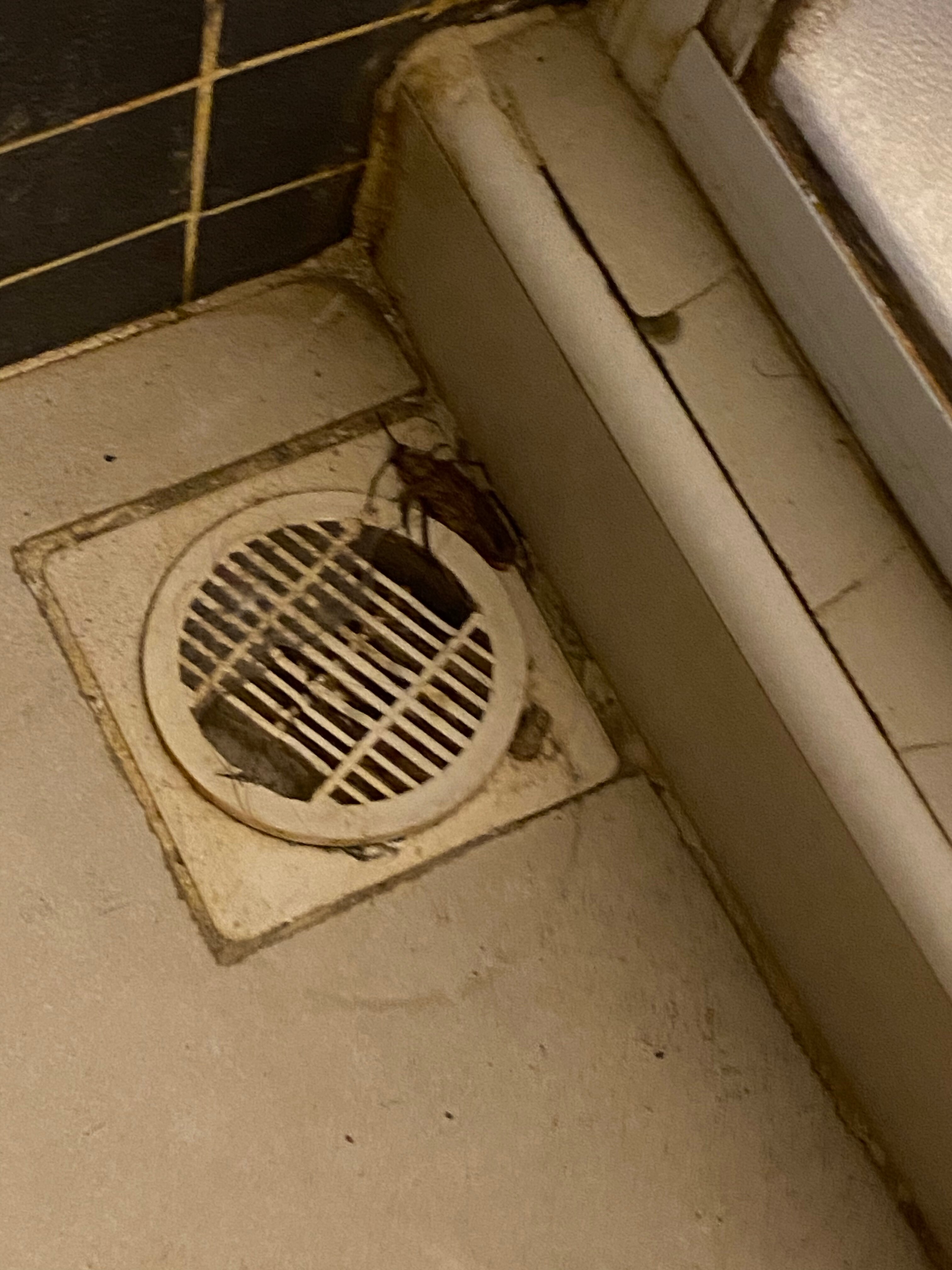 Фото Neo Hotel Pattaya