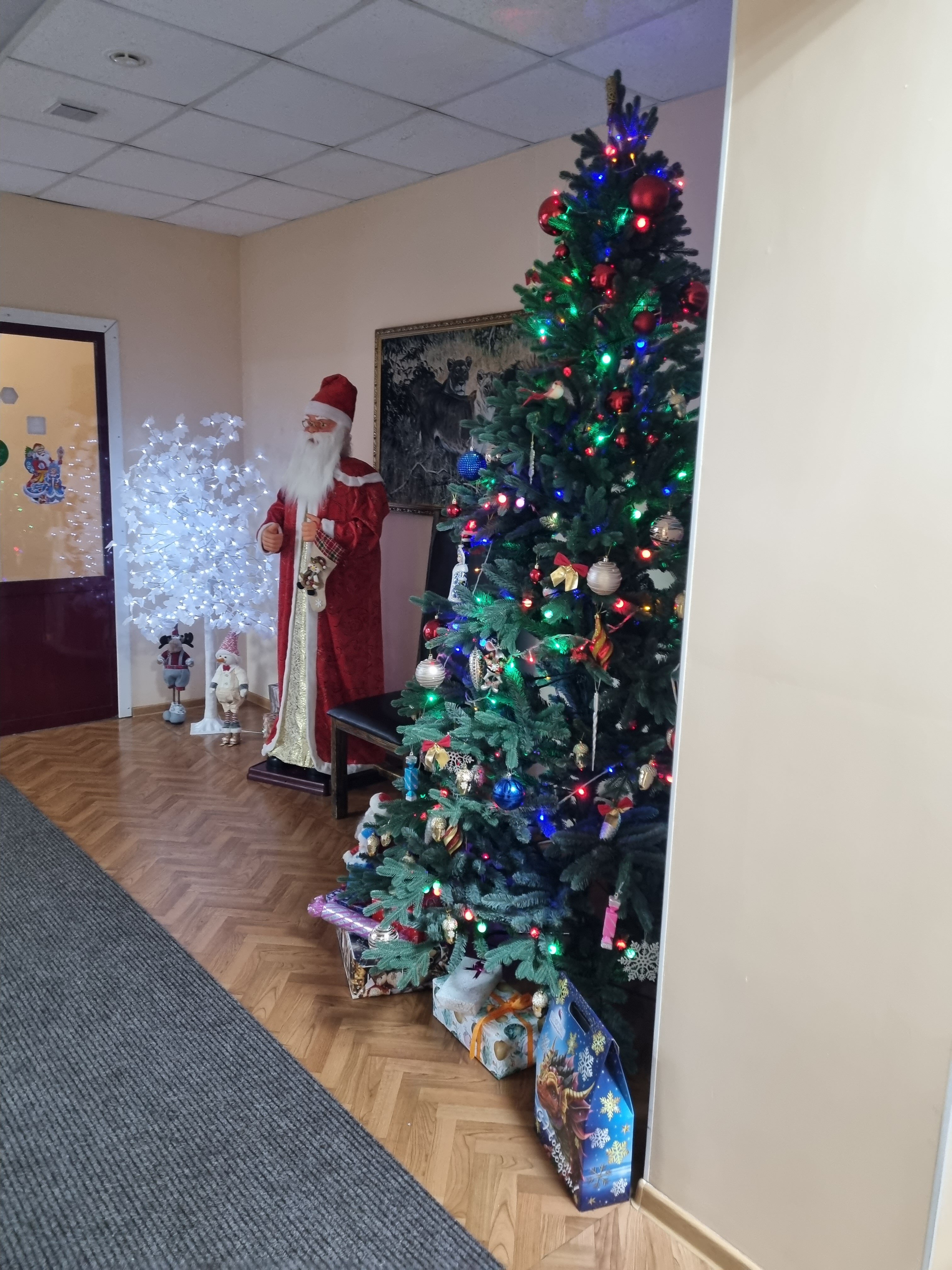 Фото Сафари