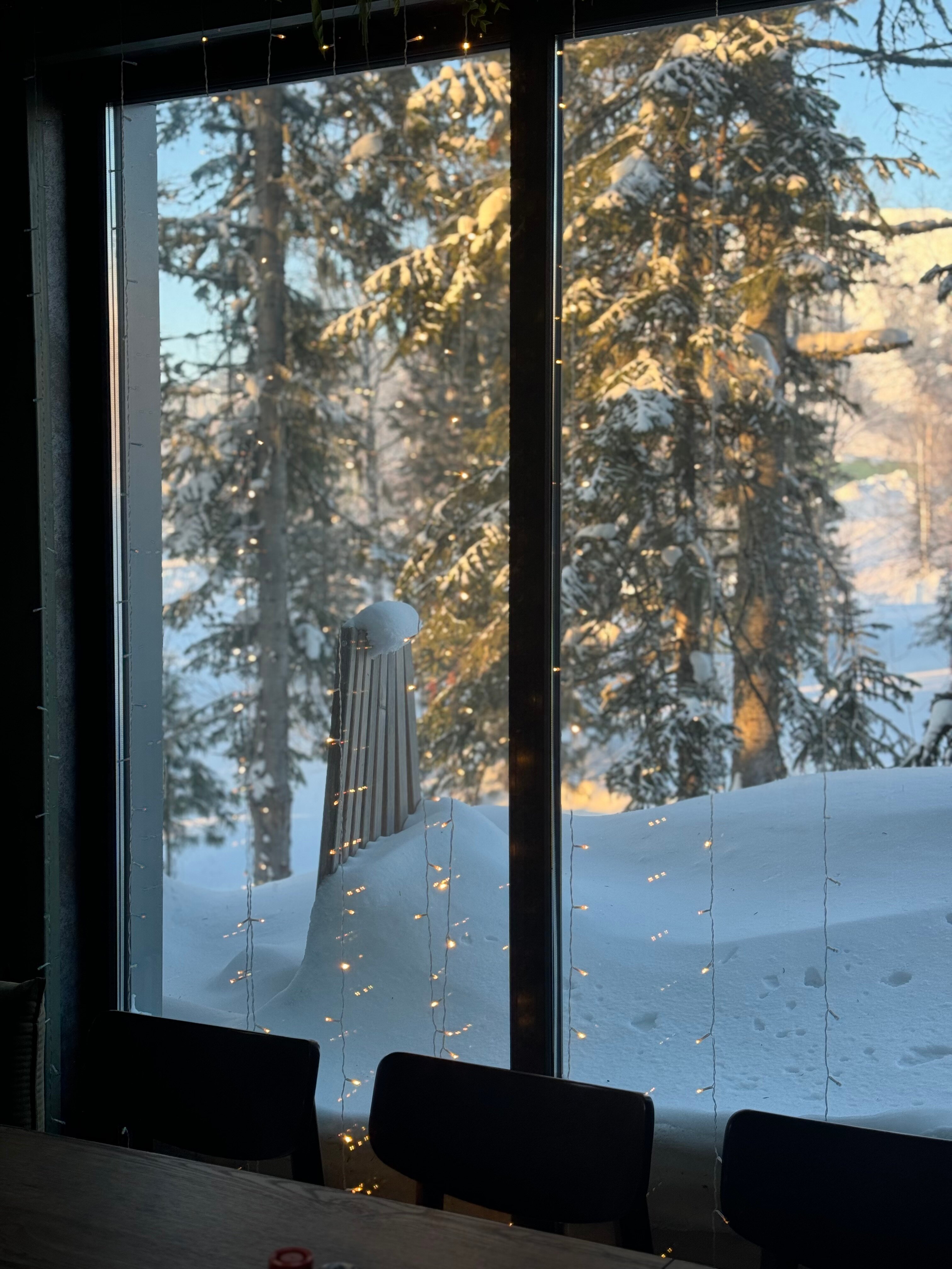 Фото Chalet Needles