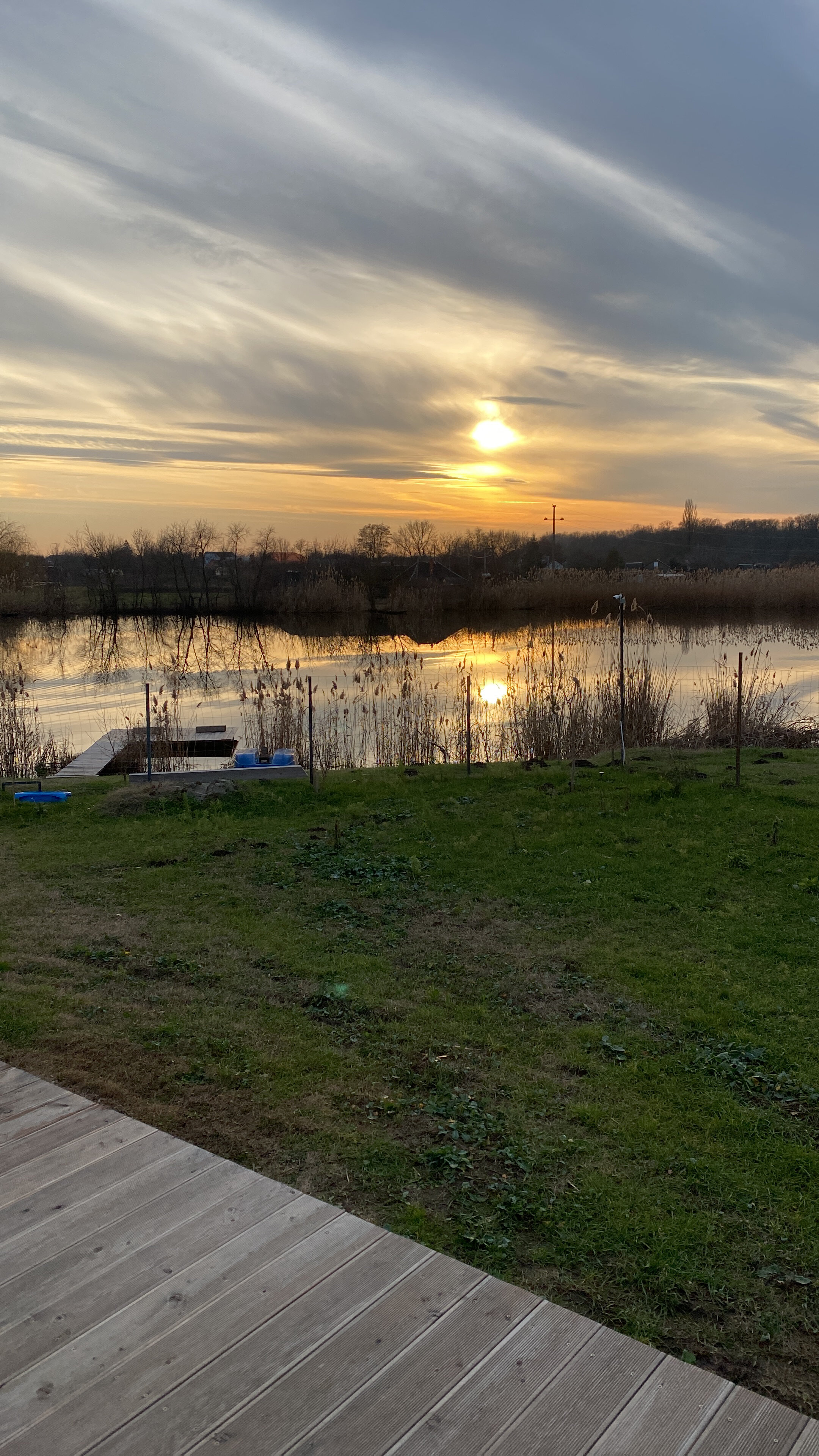 Фото Река лес