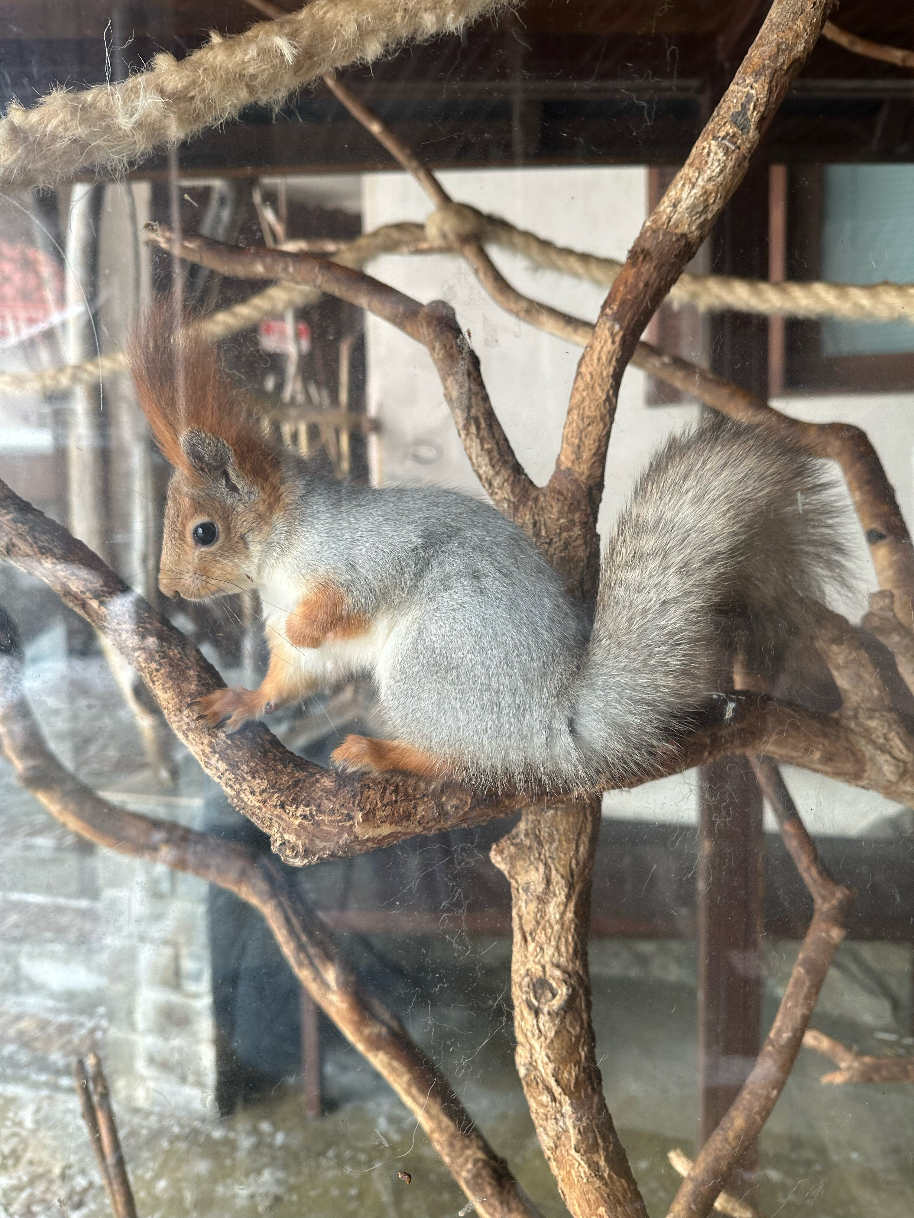 Фото Чисто Отель