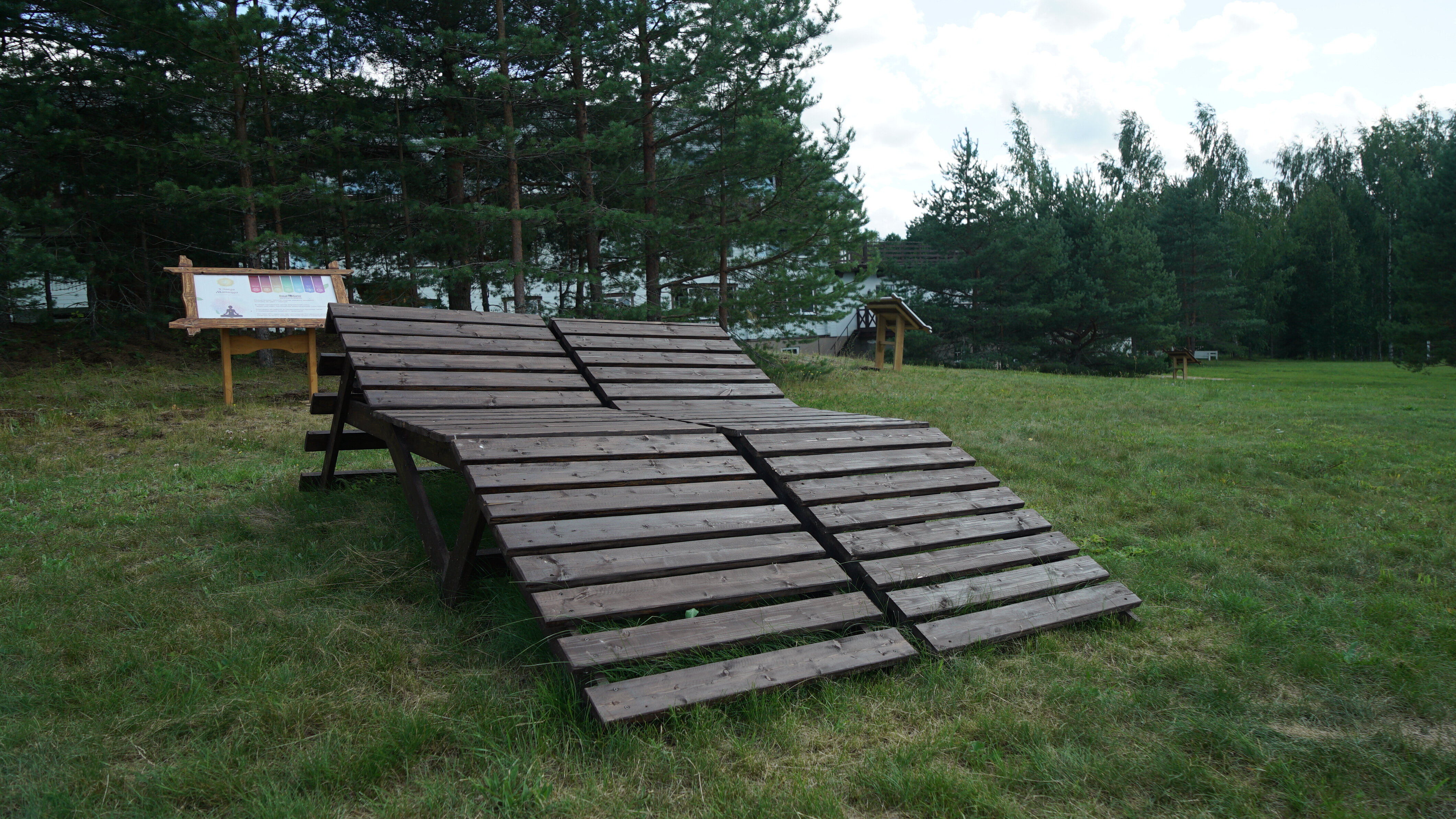 Фото Новый ковчег