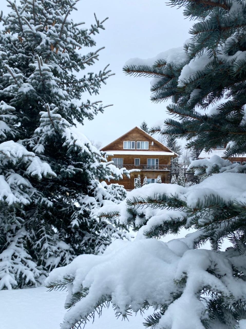 Фото Парк отель Медвежьи озёра