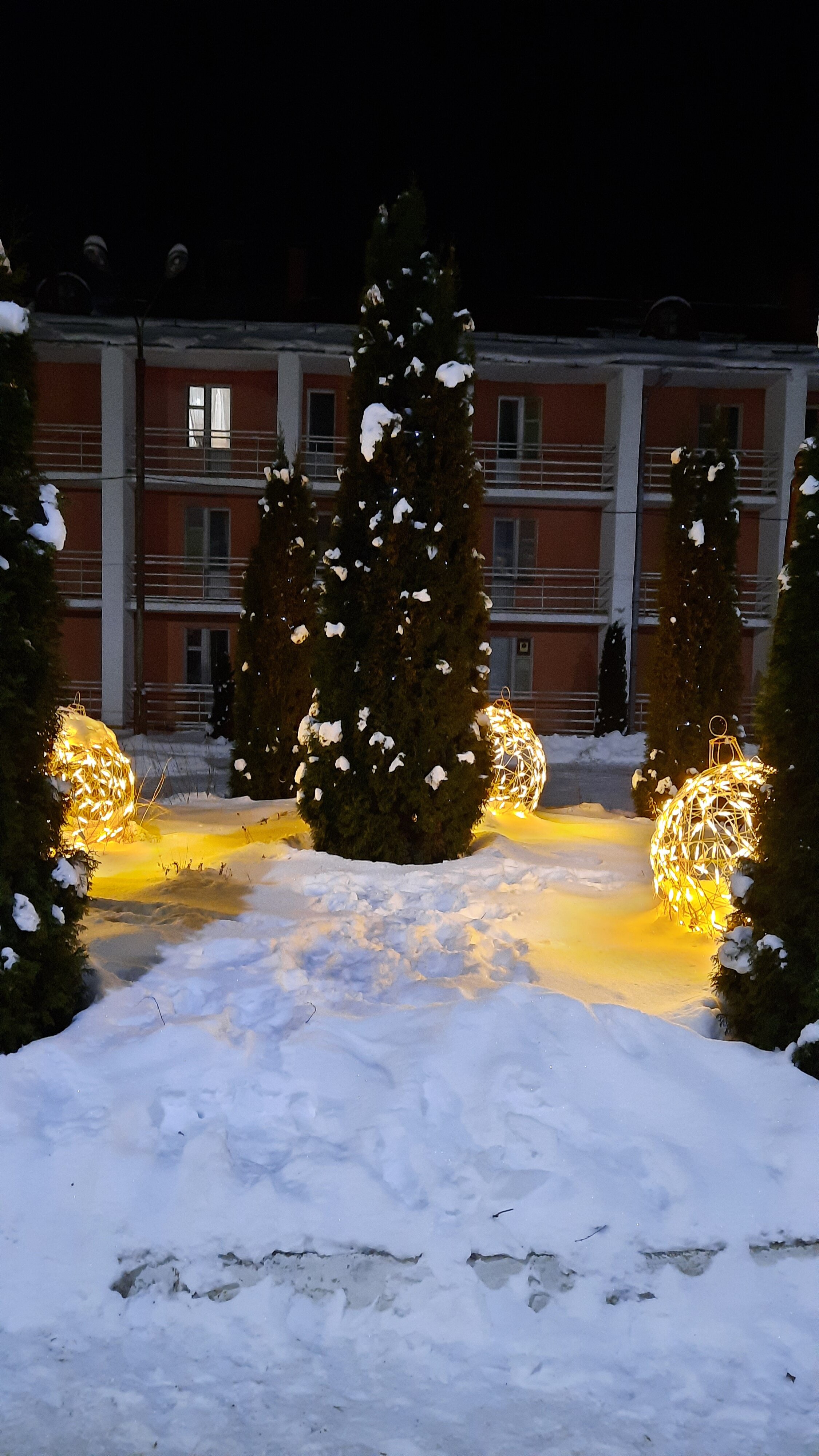 Фото Красный бор