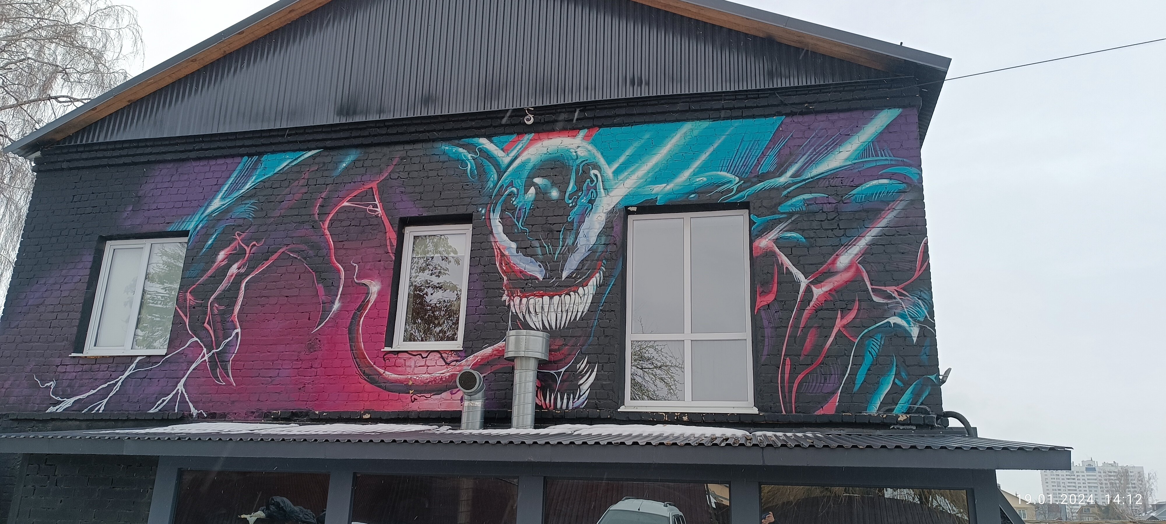 Фото Симбиот