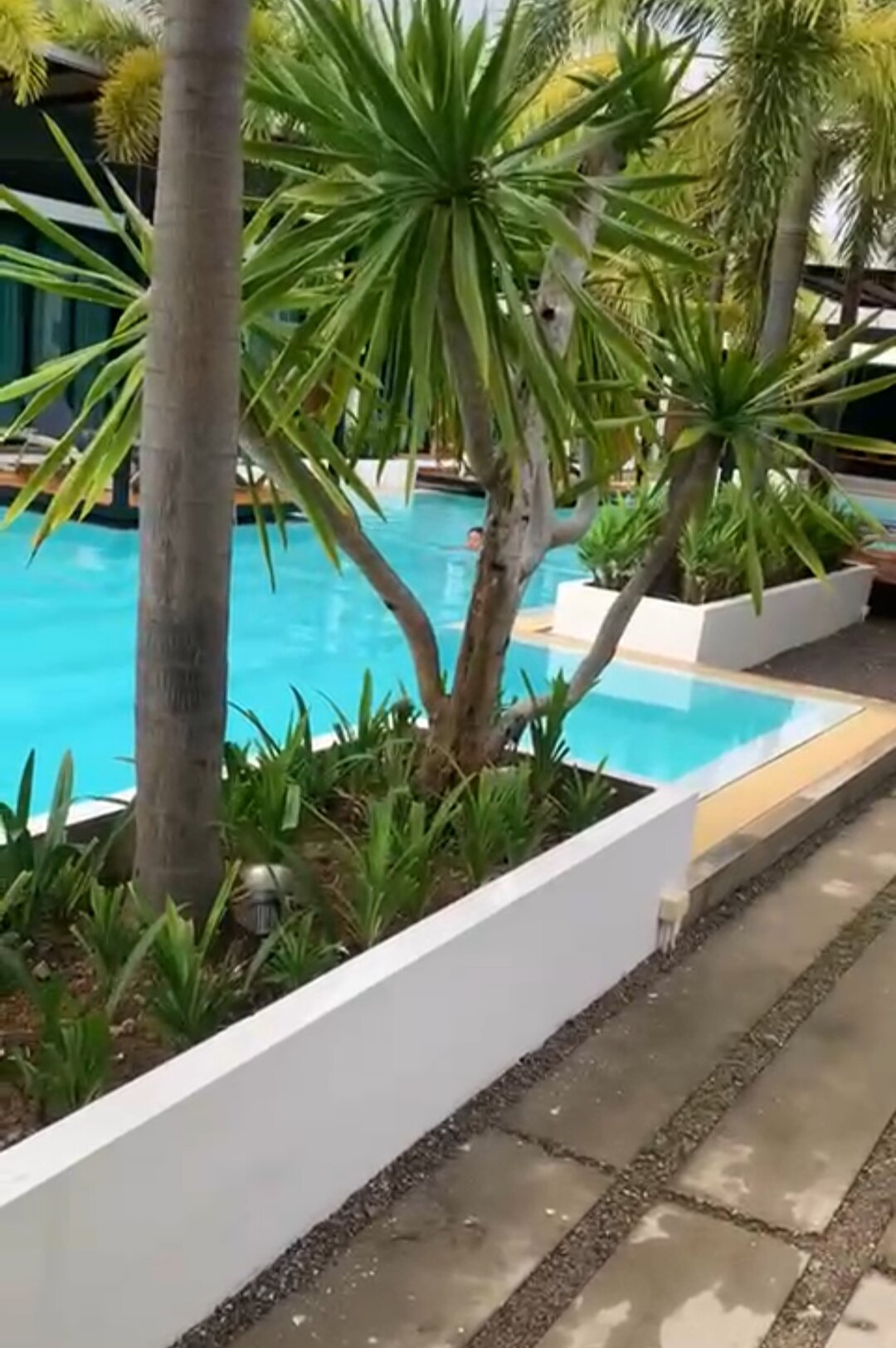 Фото Asura resort