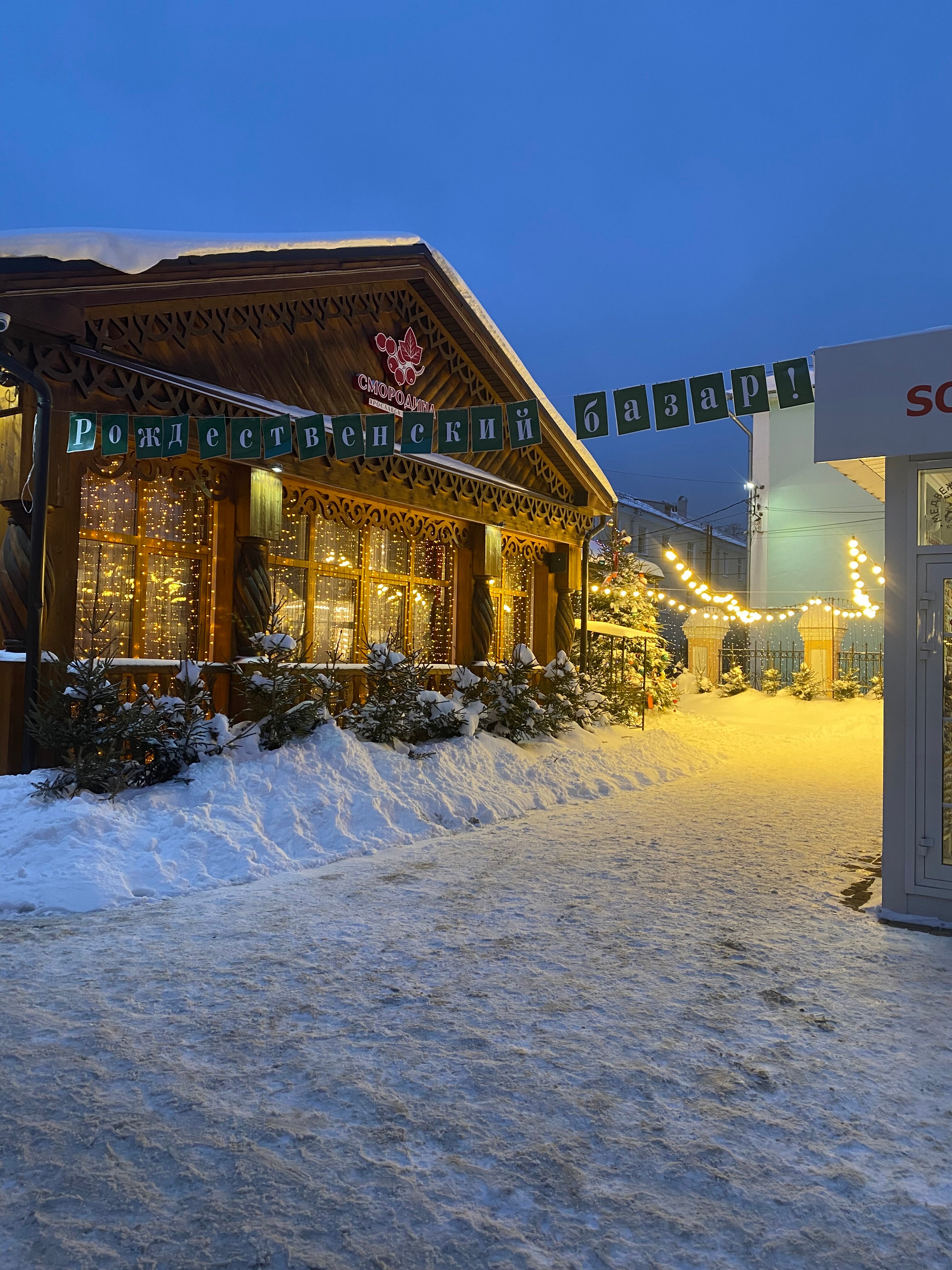 Фото Алёша Попович Двор