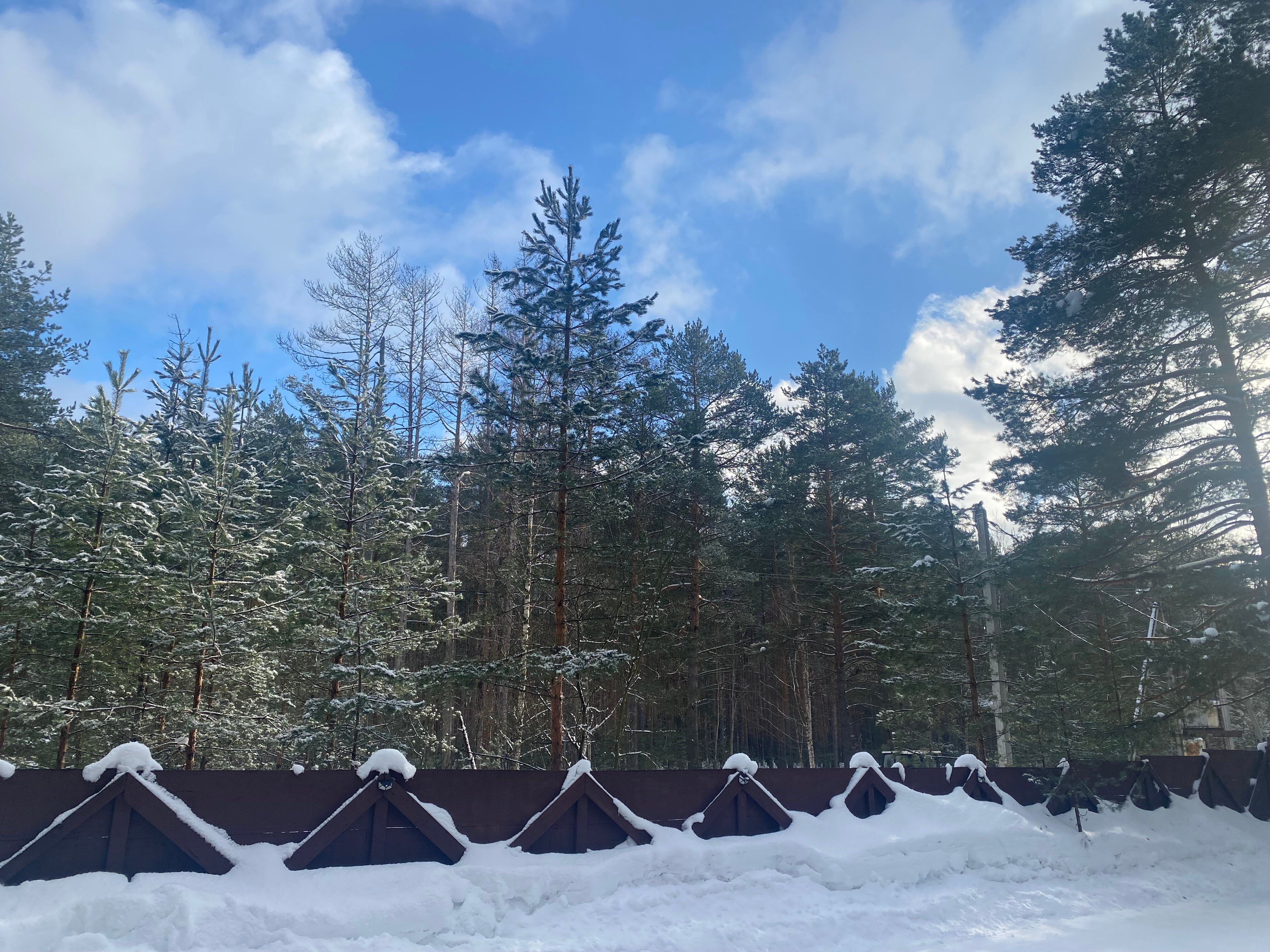 Фото Ладожская ривьера