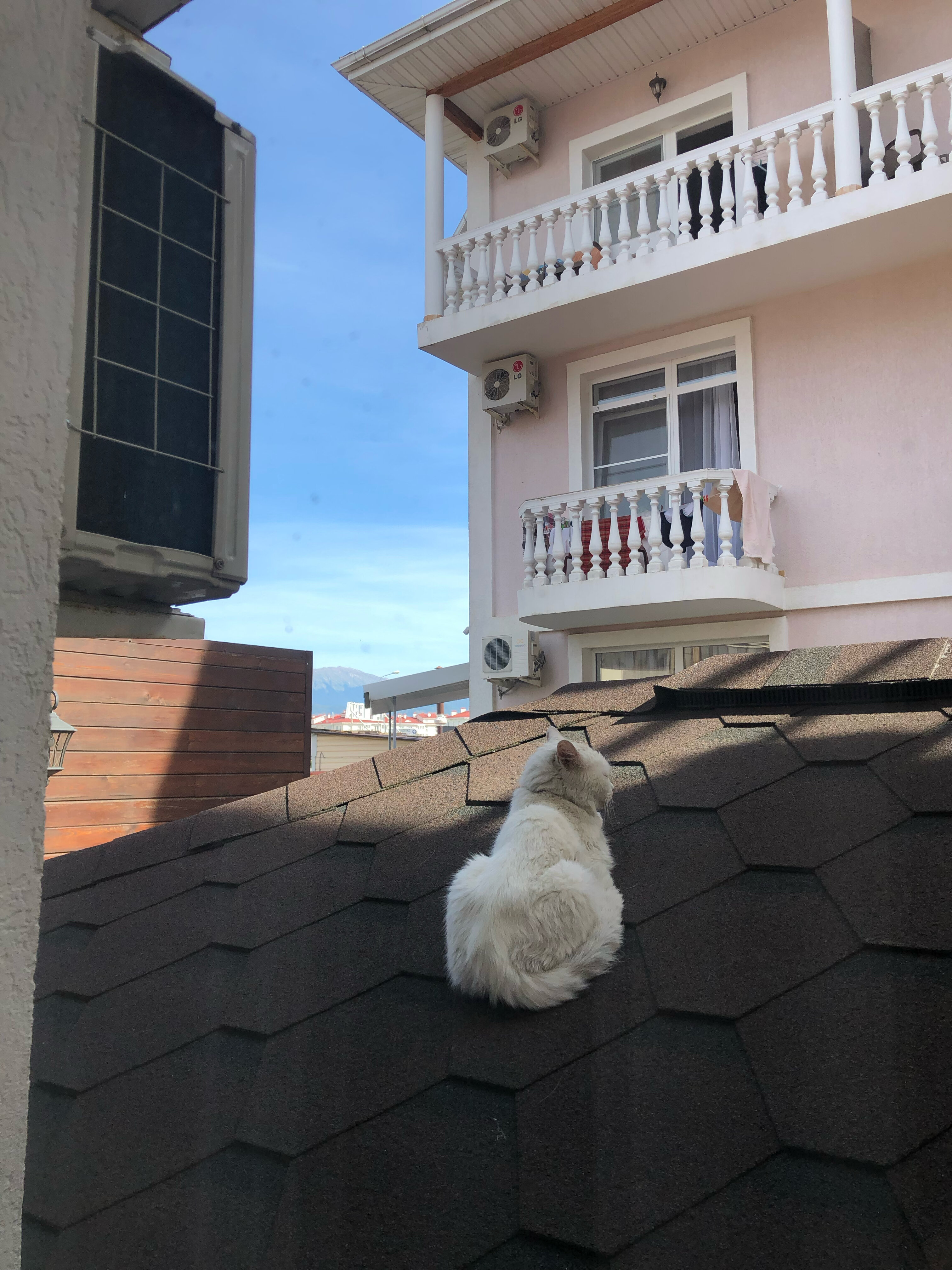 Фото Фигурный