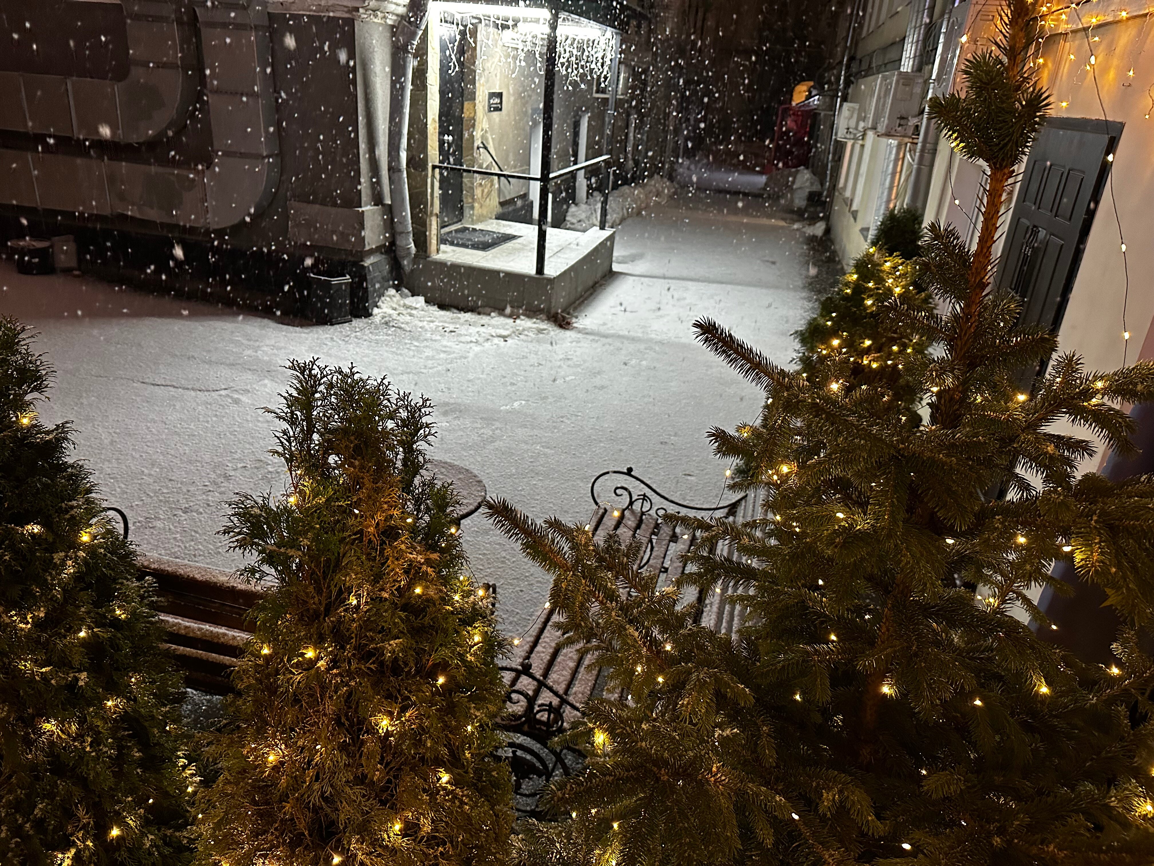 Фото Ревиваль