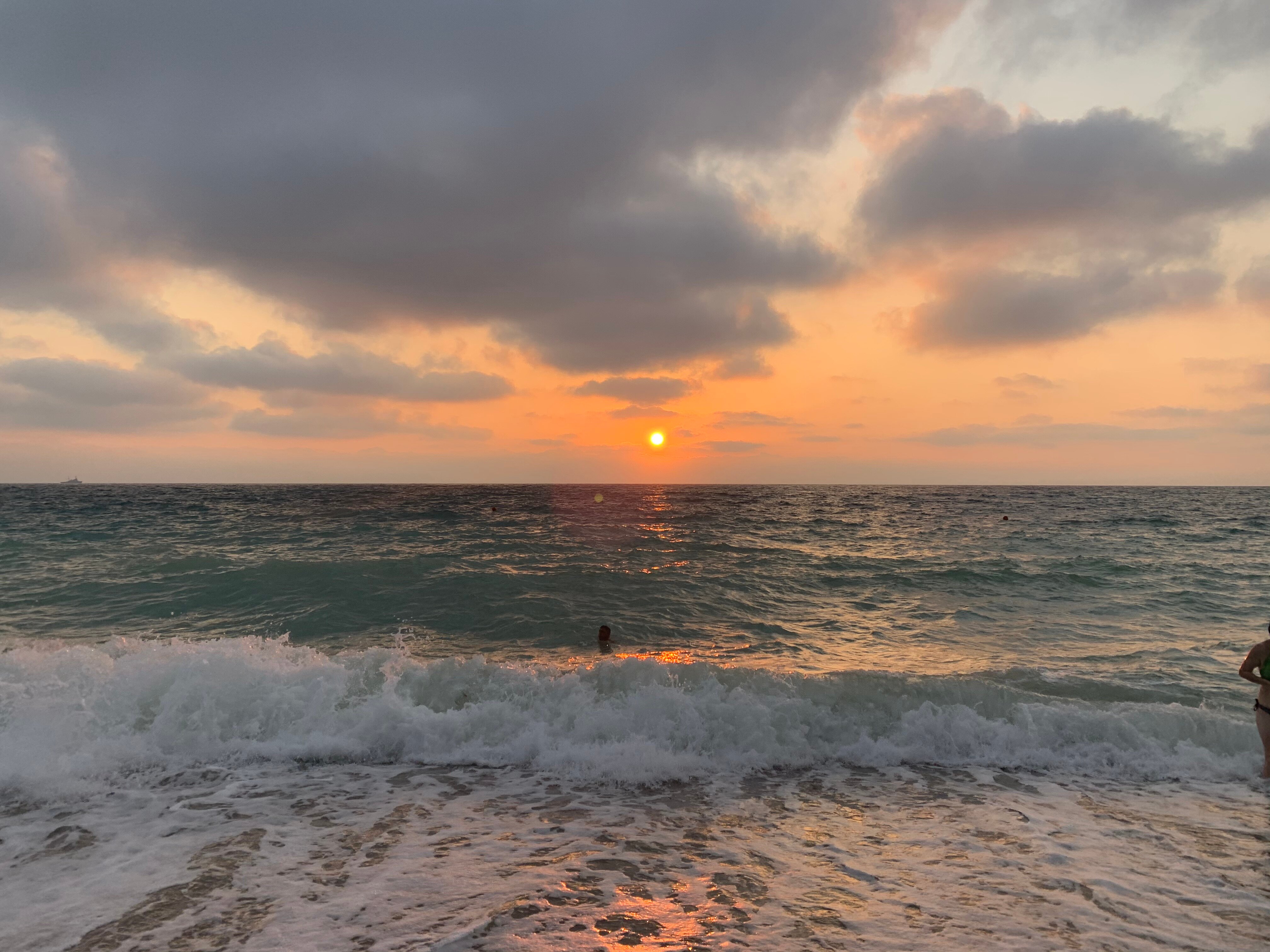 Фото Морелюб