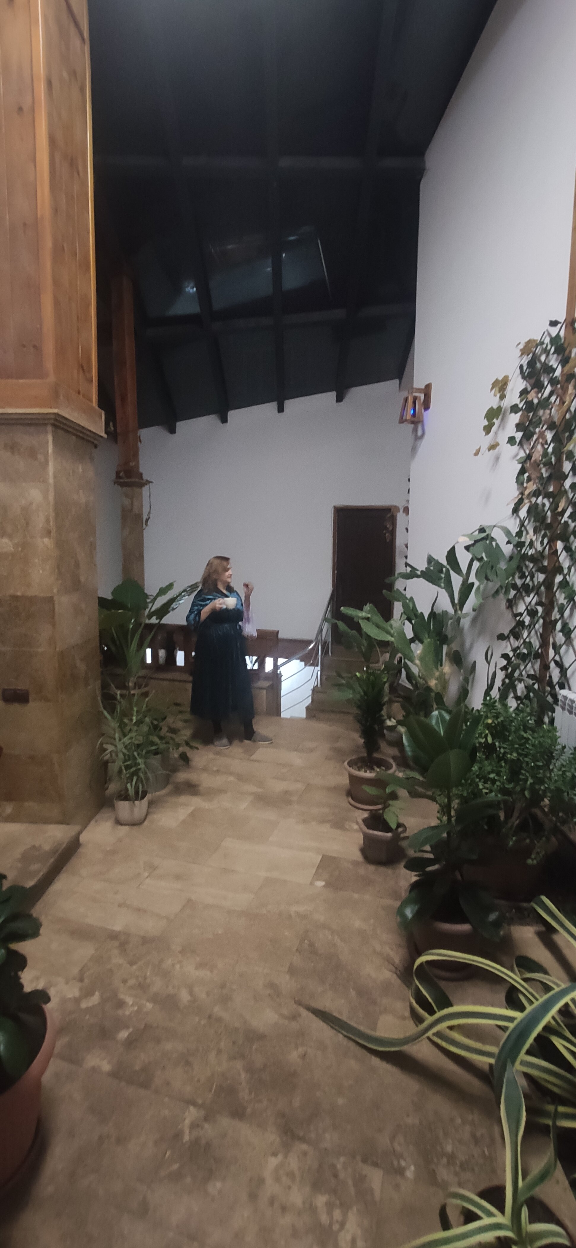 Фото Yerevan hotel