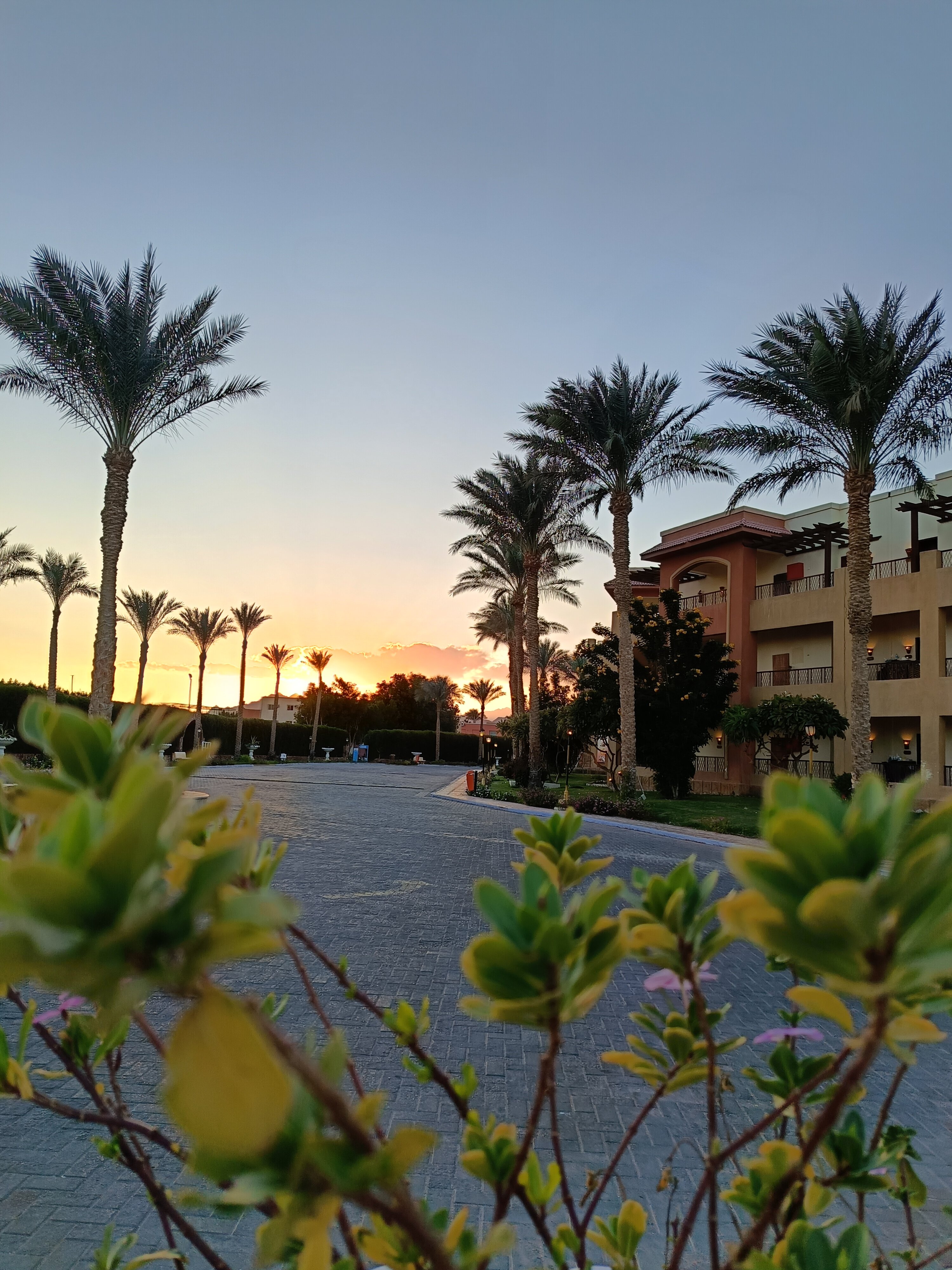 Фото Romance Regency Club