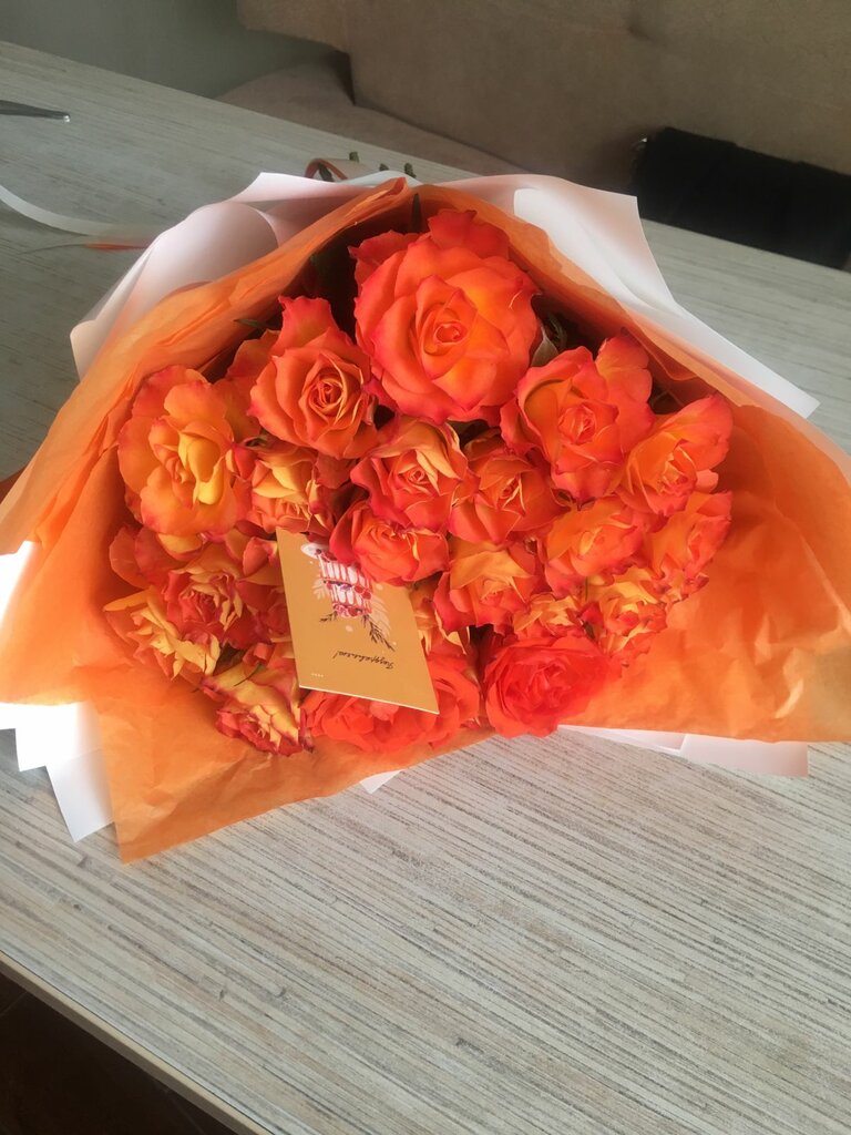 Татьяна Степанова