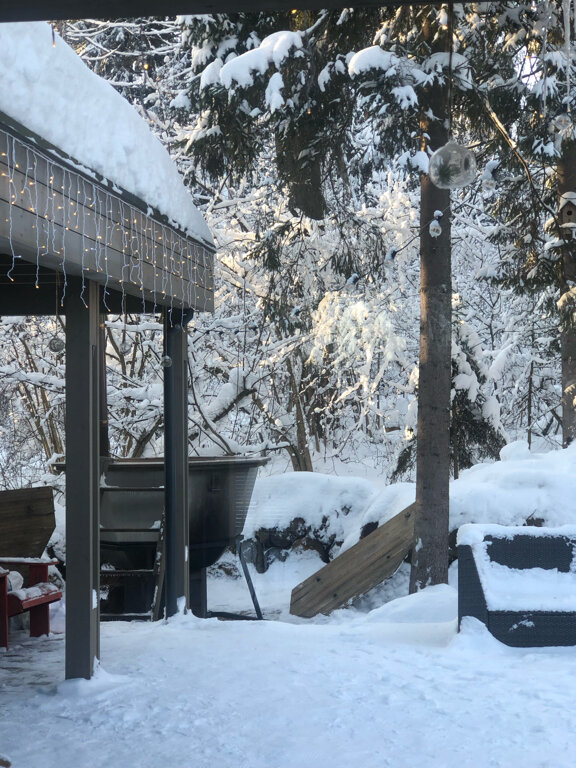 Фото Lesnitsyno_dacha