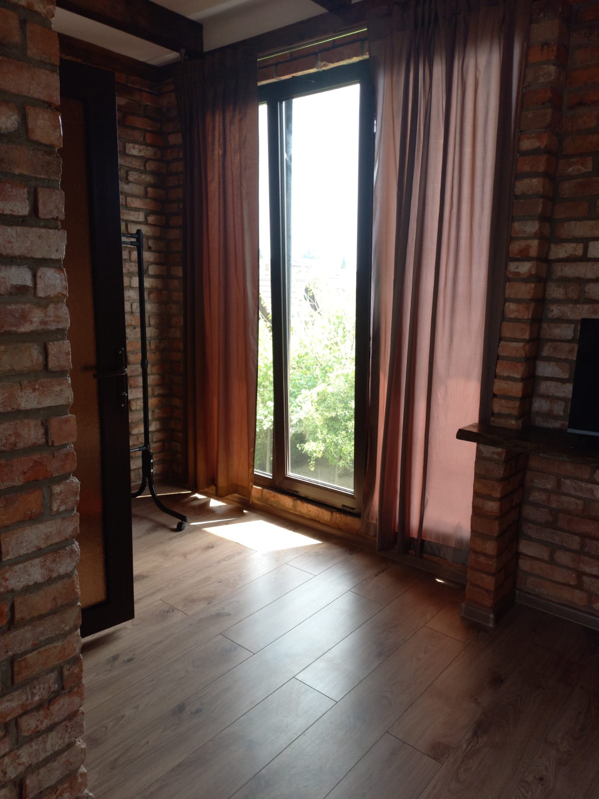 Фото Салангана