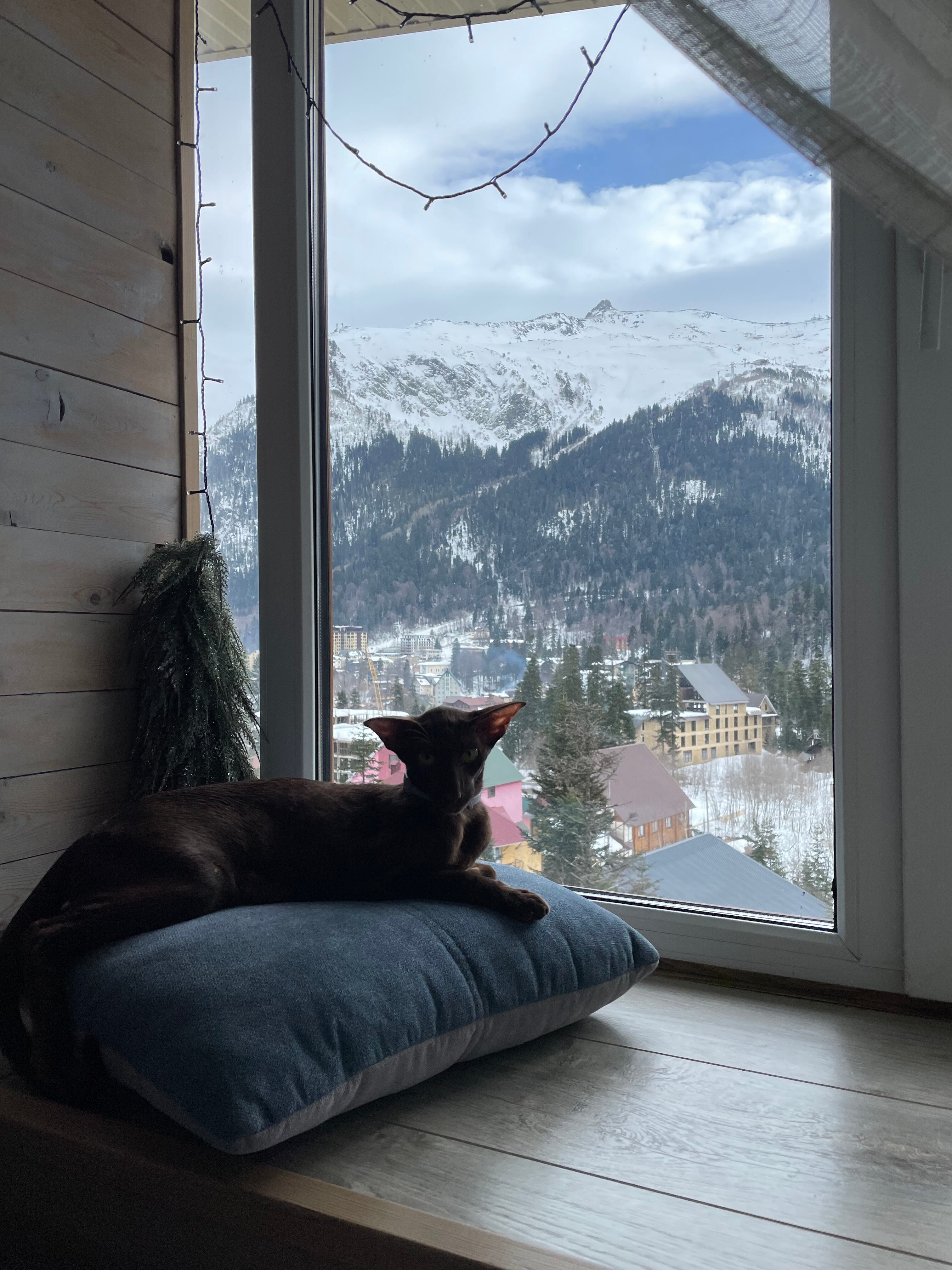 Фото Dombay flats