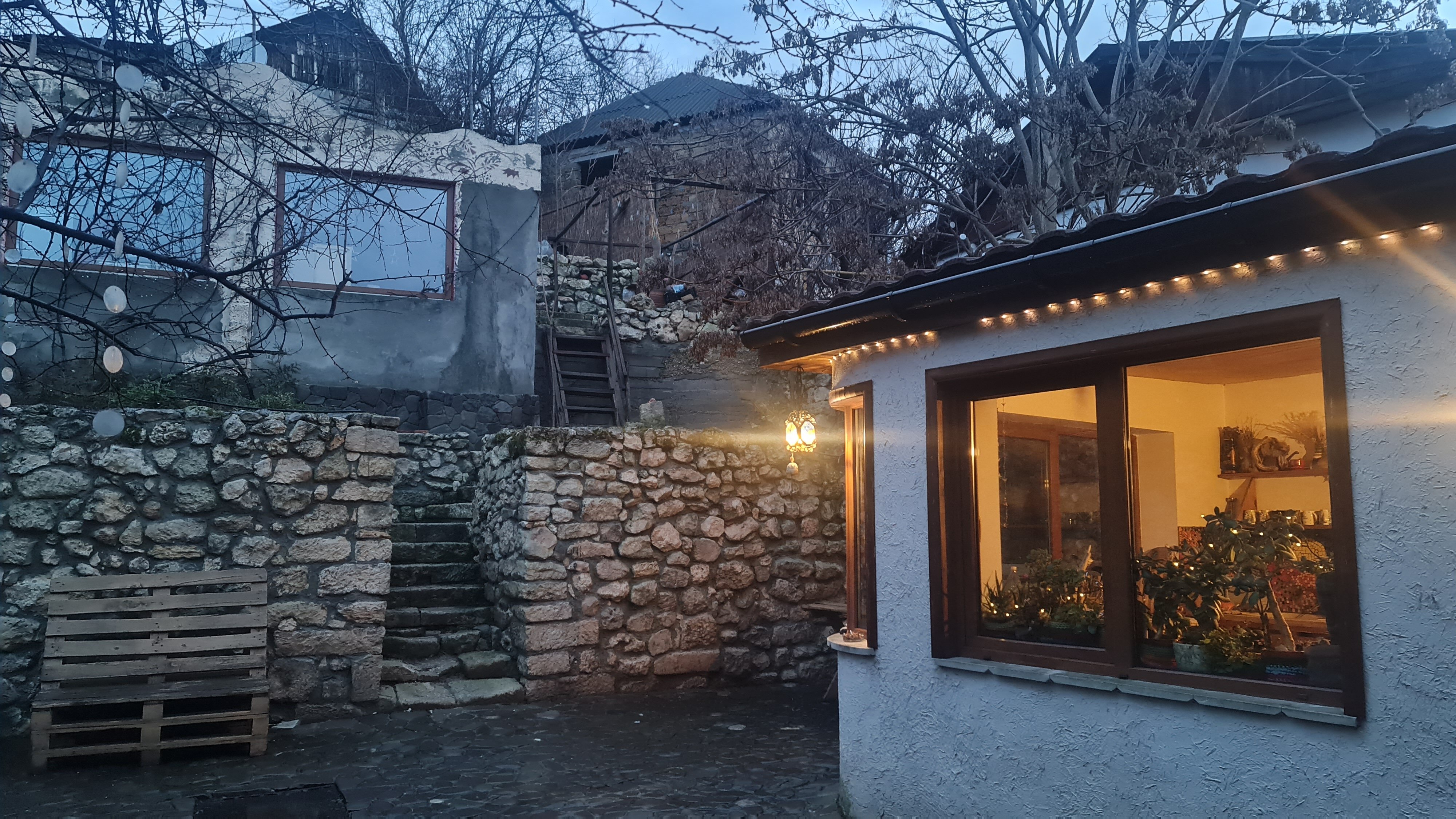 Фото Лисьи сны