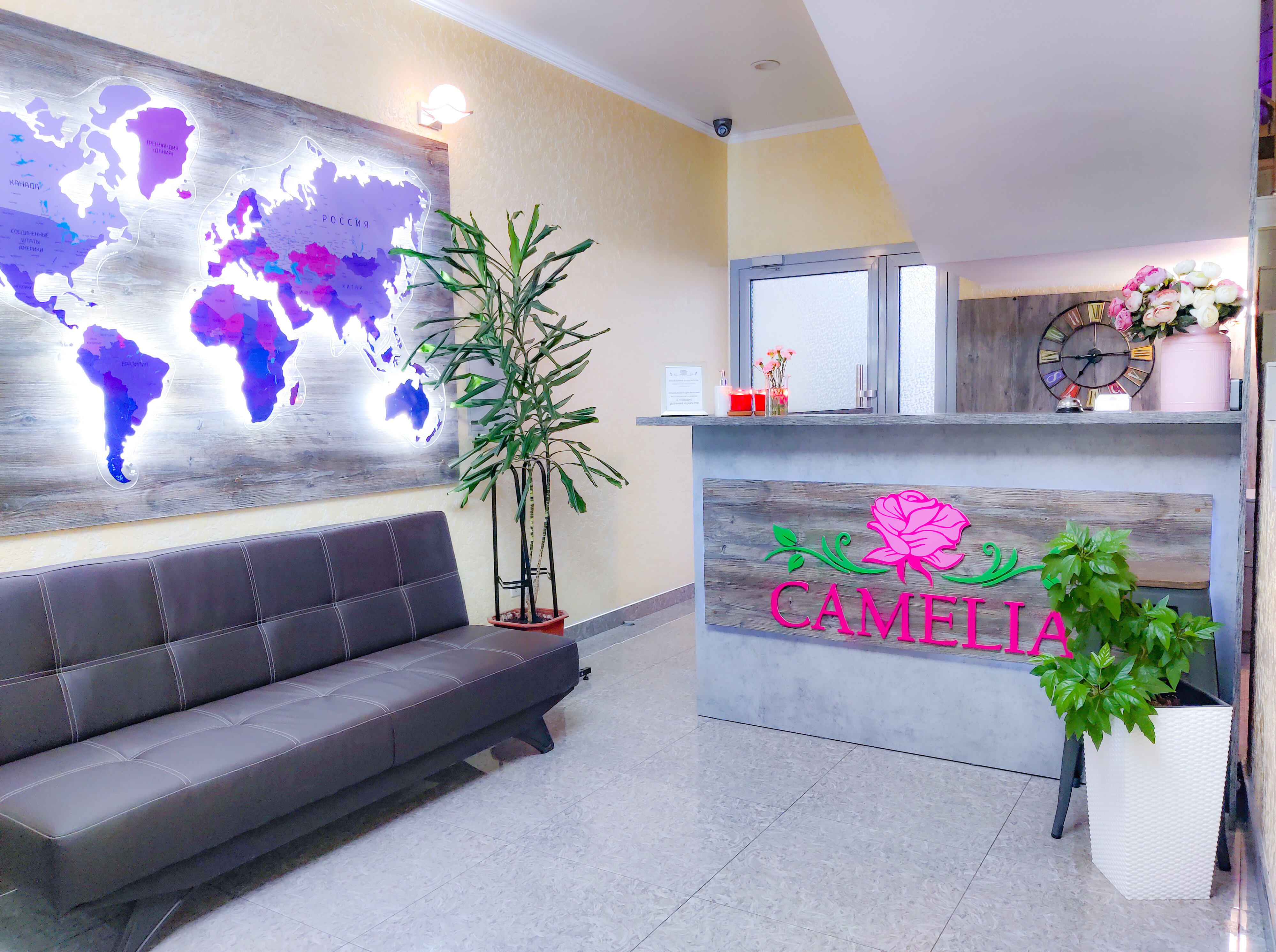 Фото Камелия