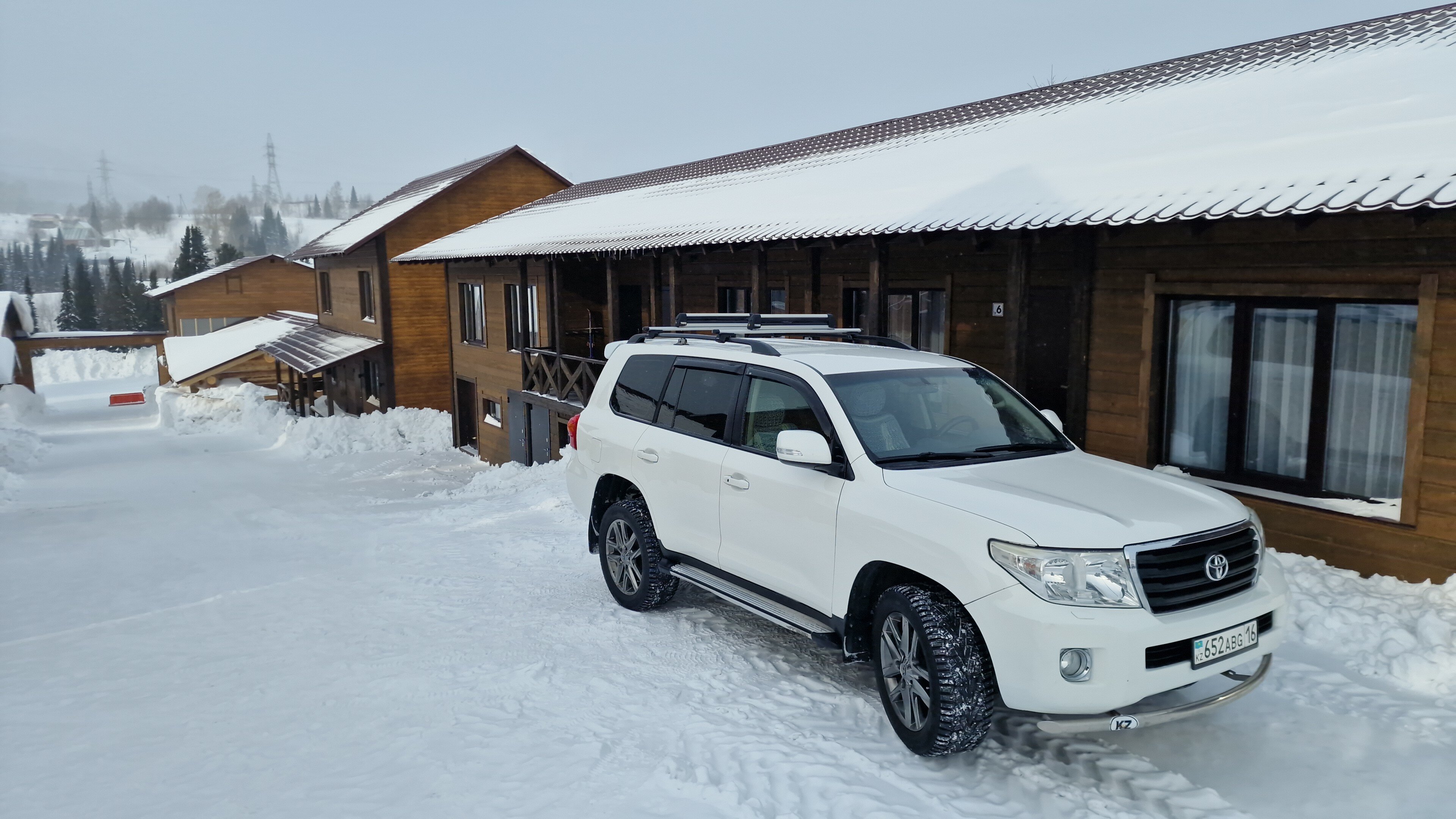 Фото Panda house