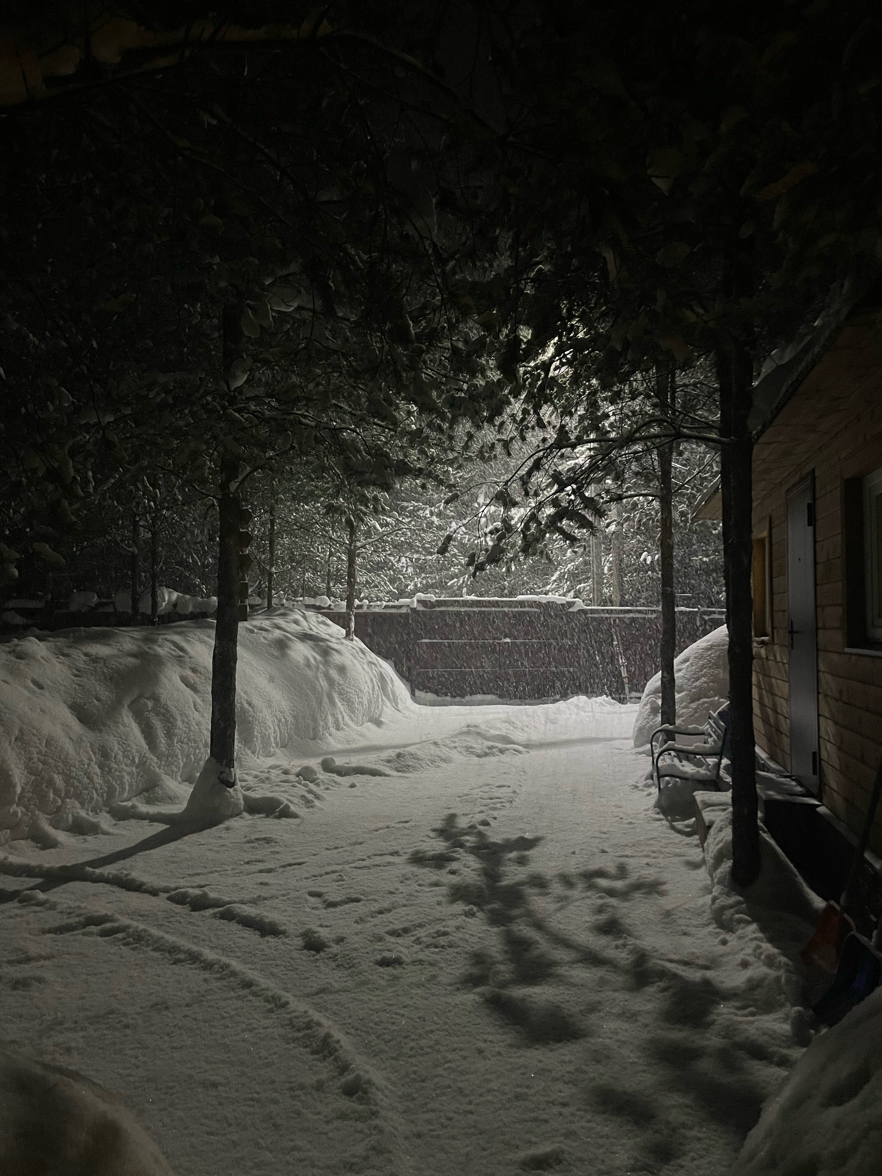 Фото Skazka в лесу