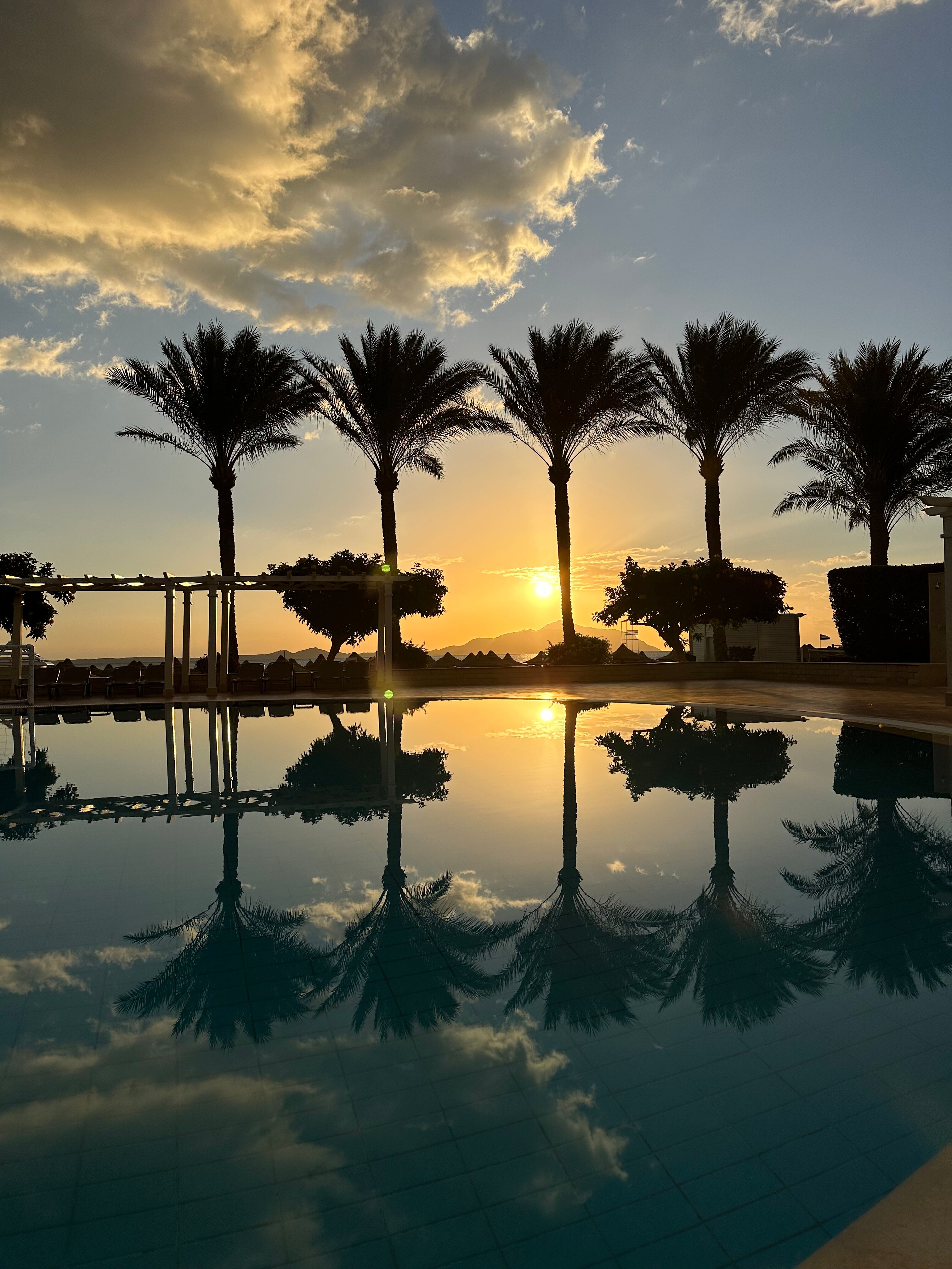 Фото Jaz Belvedere