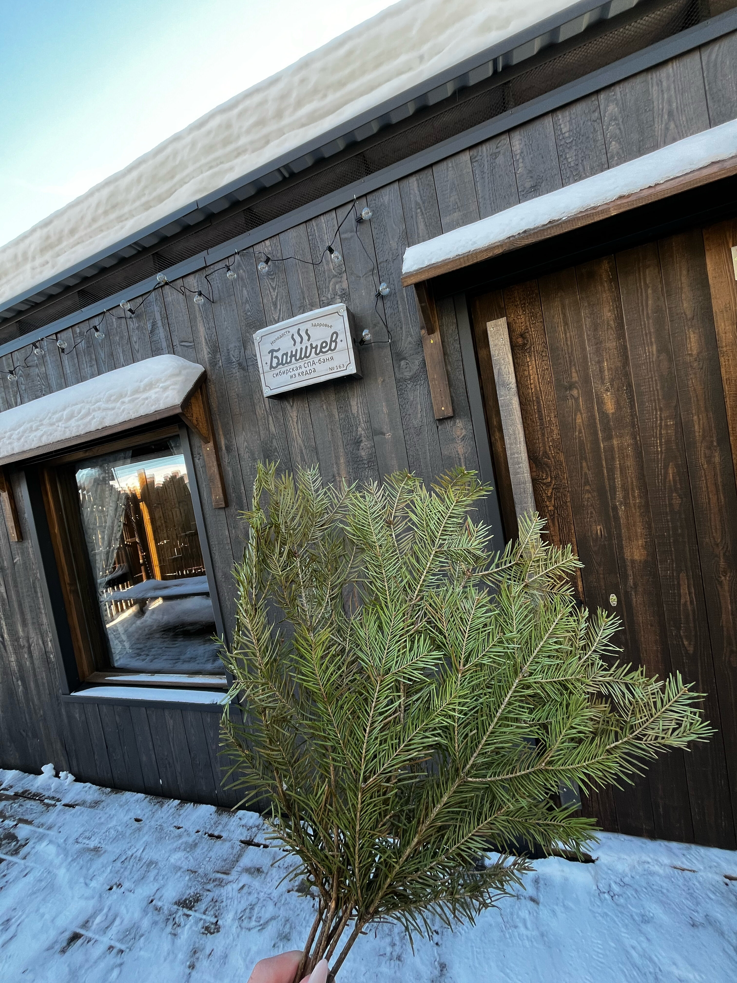 Фото Добро и Лес